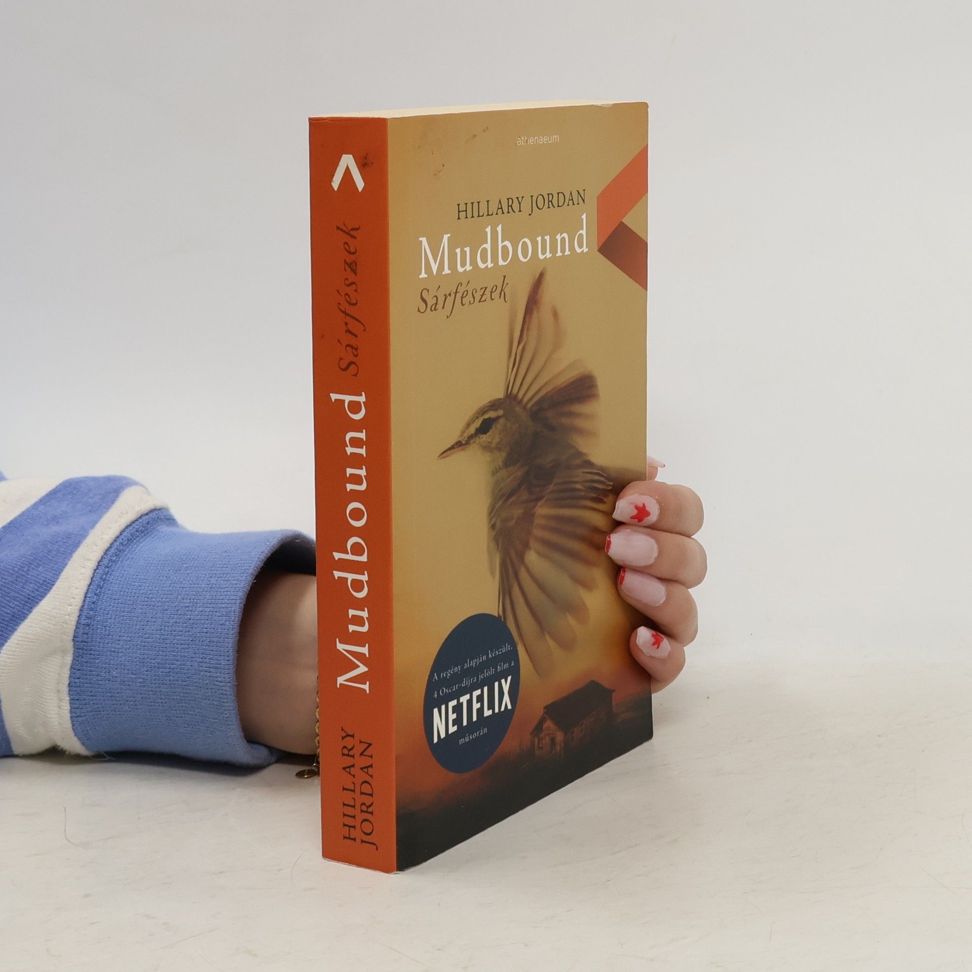 Hillary Jordan Mudbound - Sárfészek