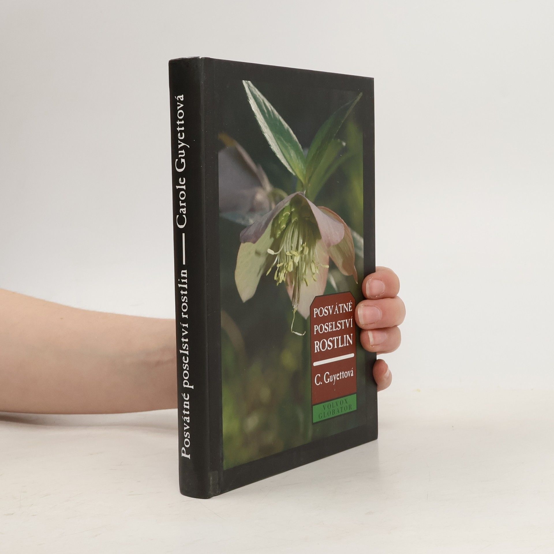 Posvátné poselství rostlin: Komunikace s rostlinami jako cesta k uzdravení a vyššímu vědomí