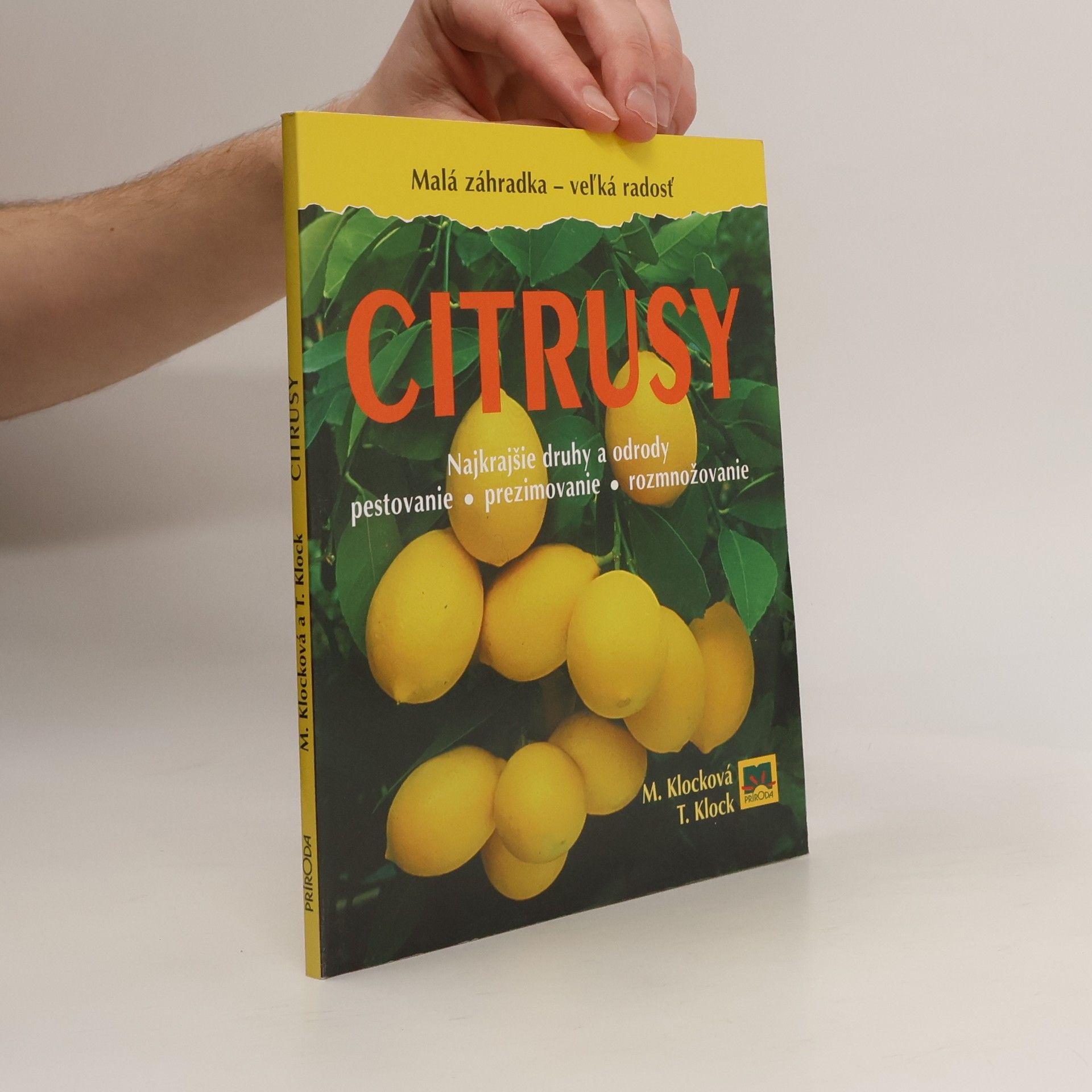 Monika Klock Citrusy