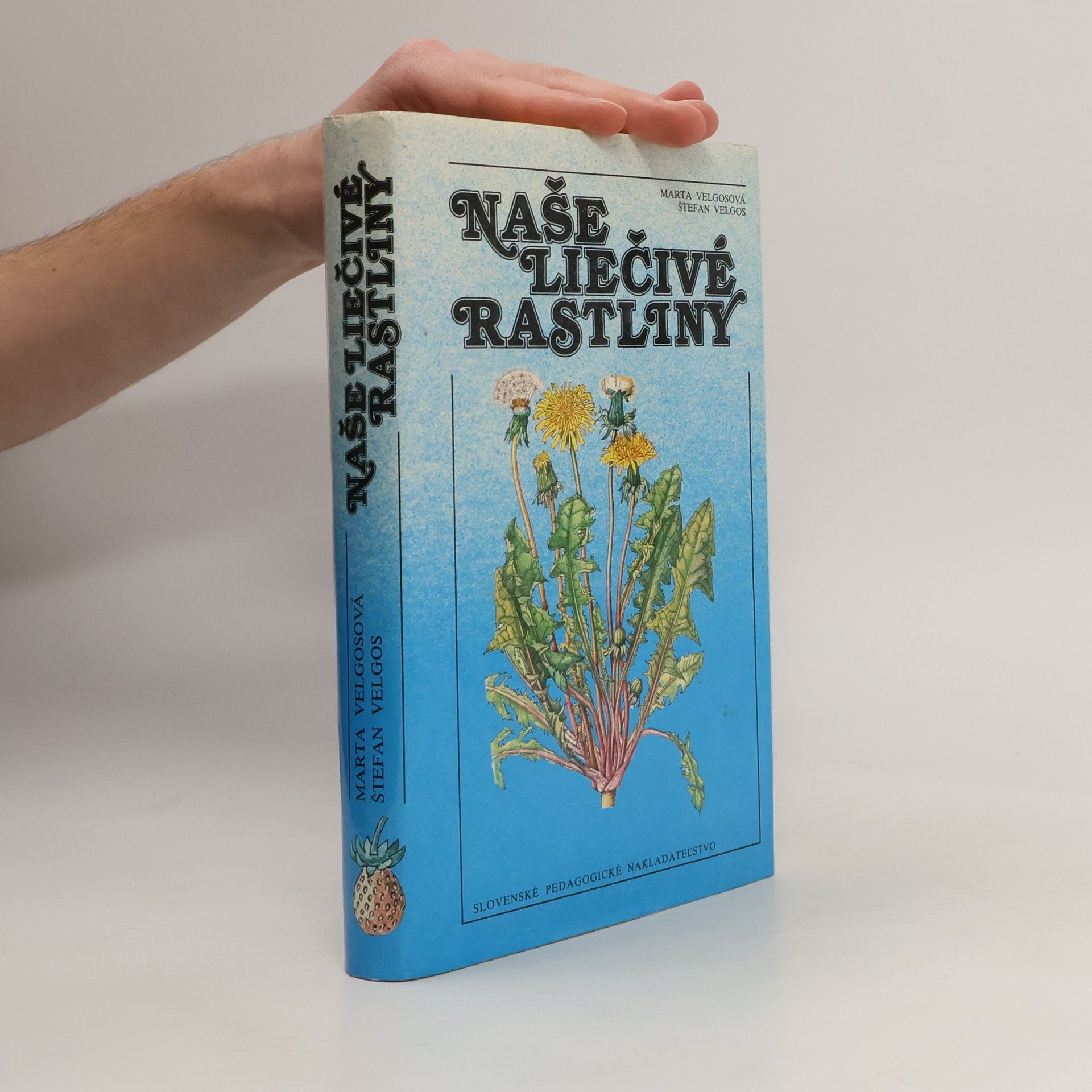 Marta Velgosová Naše liečivé rastliny