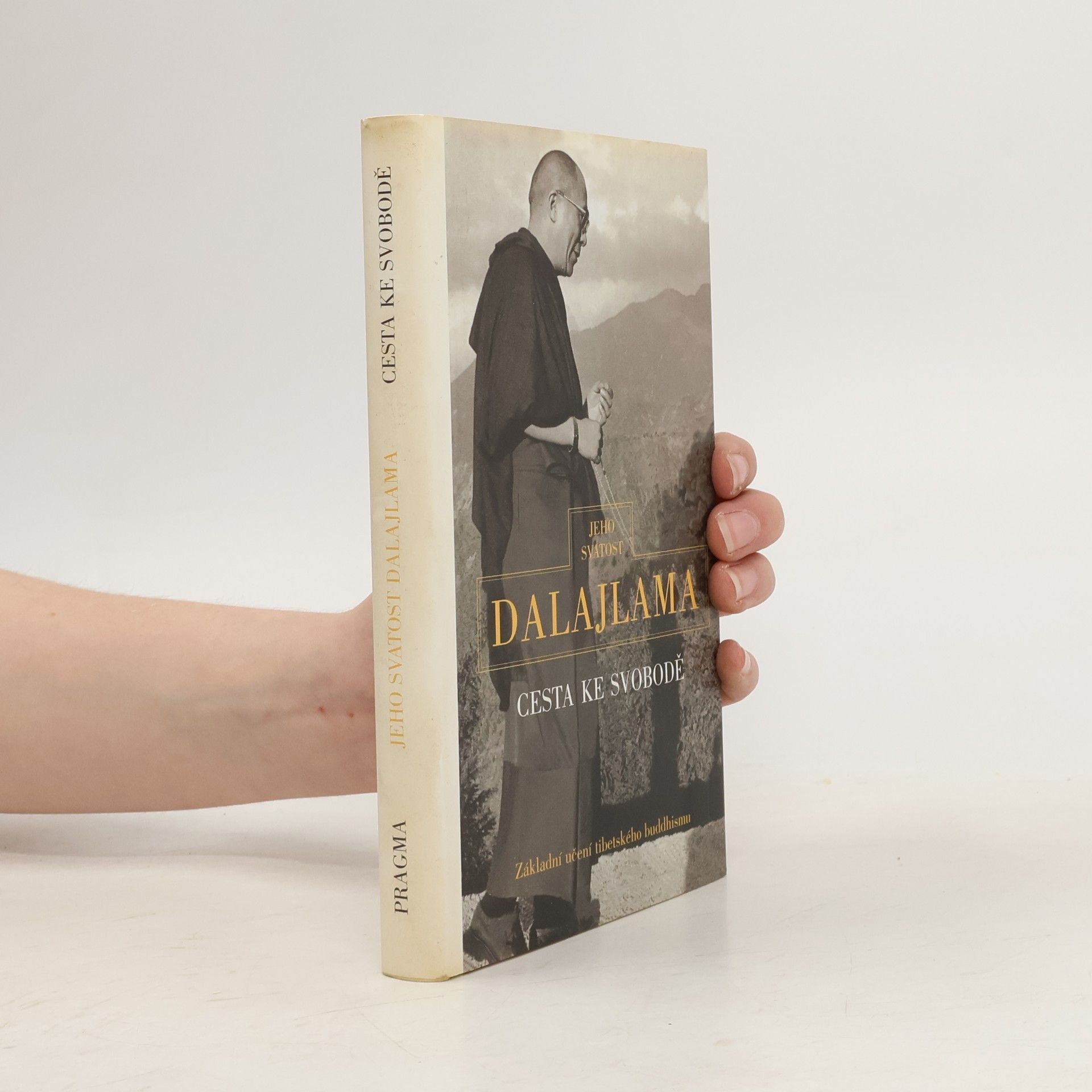 Irena Janovcová Cesta ke svobodě