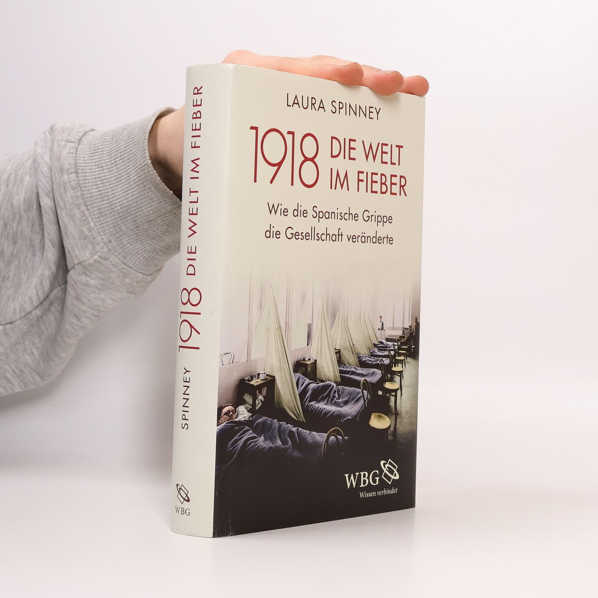 Laura Spinney 1918, Die Welt im Fieber