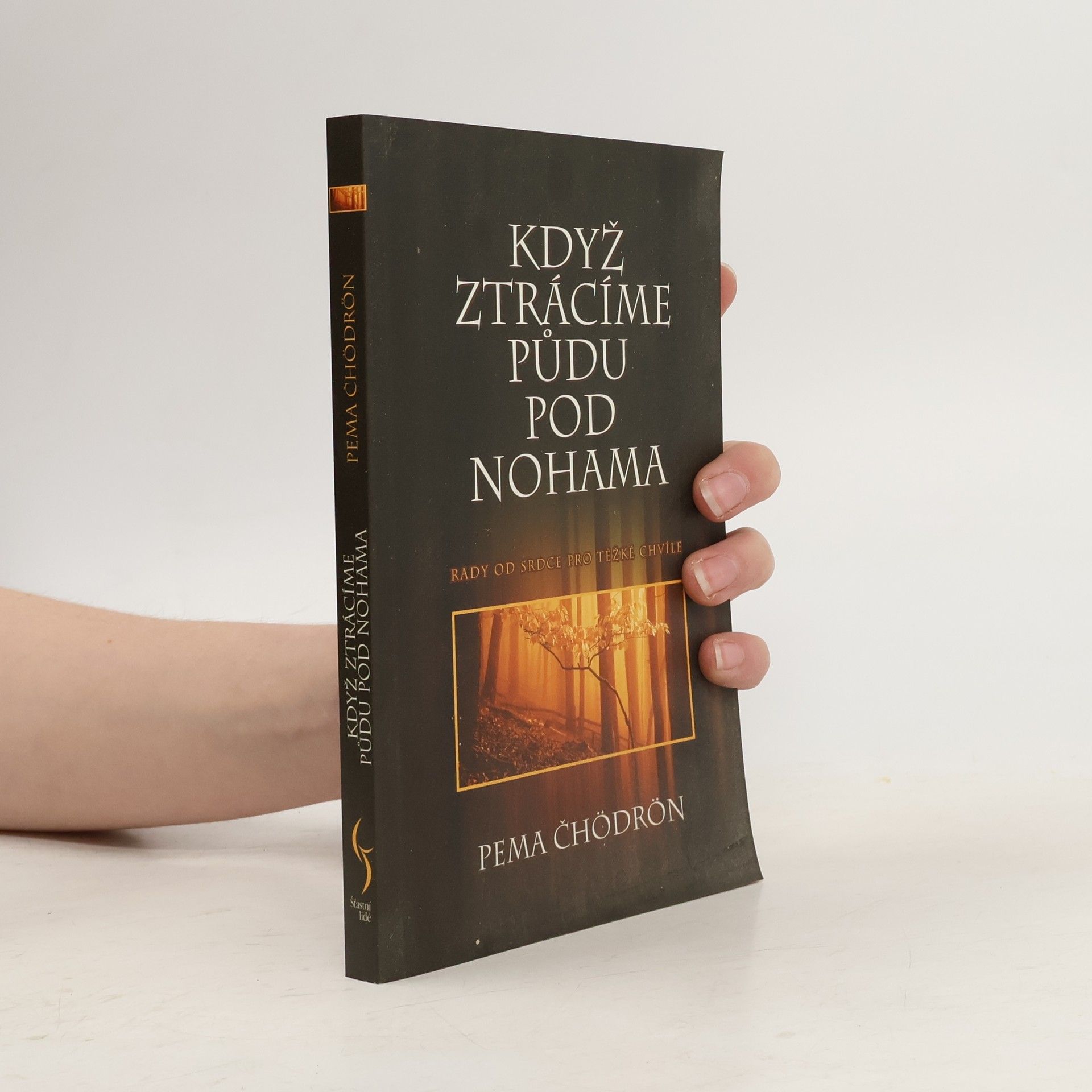 Pema Chödrön Když ztrácíme půdu pod nohama