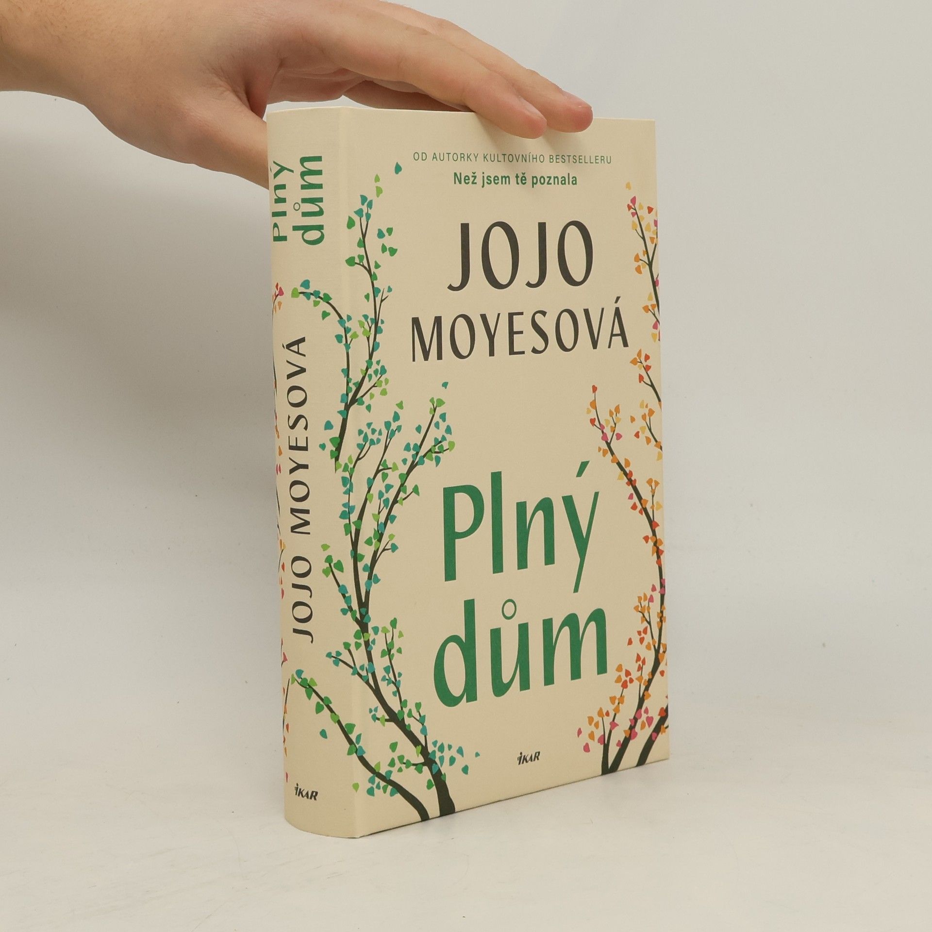 Jojo Moyes Plný dům