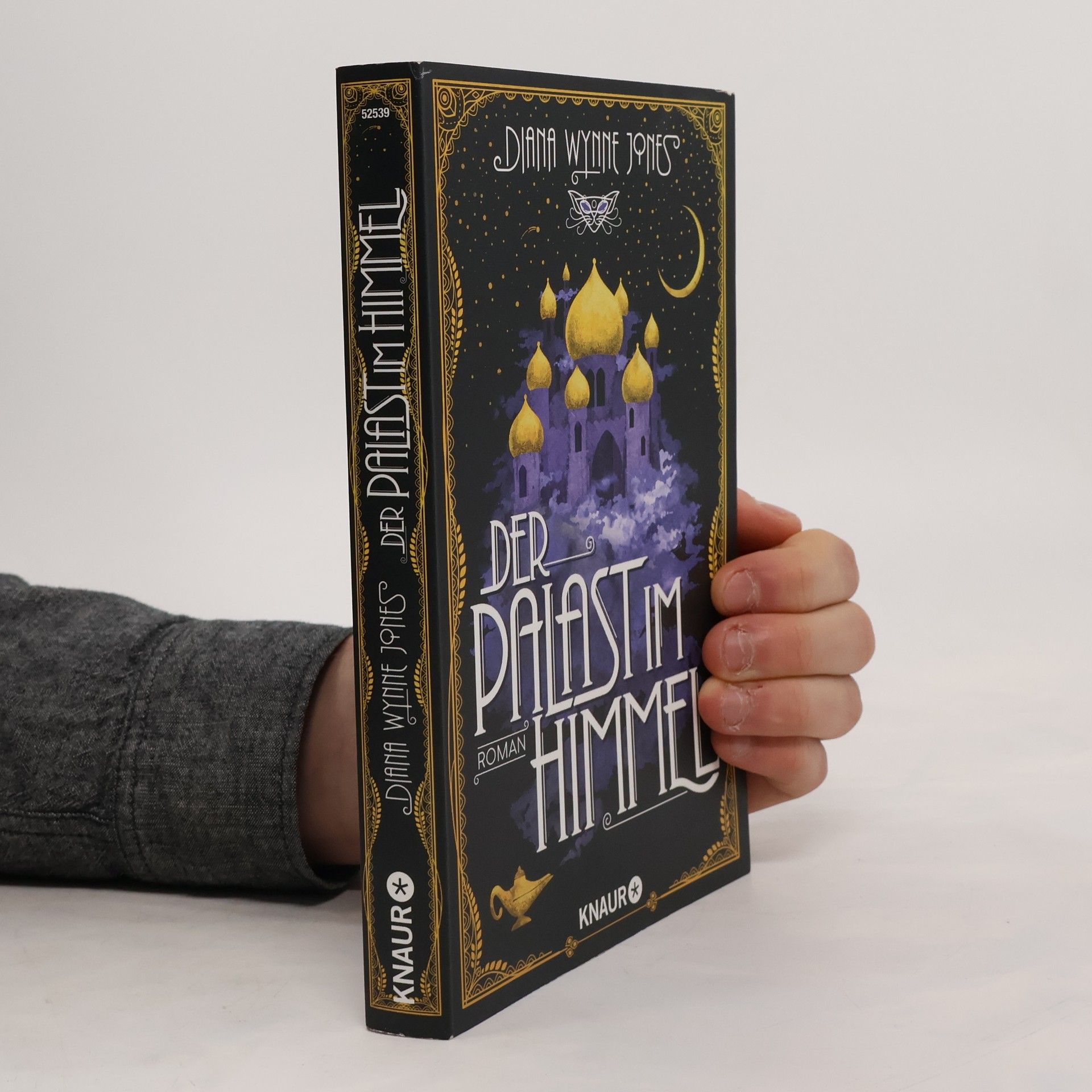 Diana Wynne Jones Der Palast im Himmel