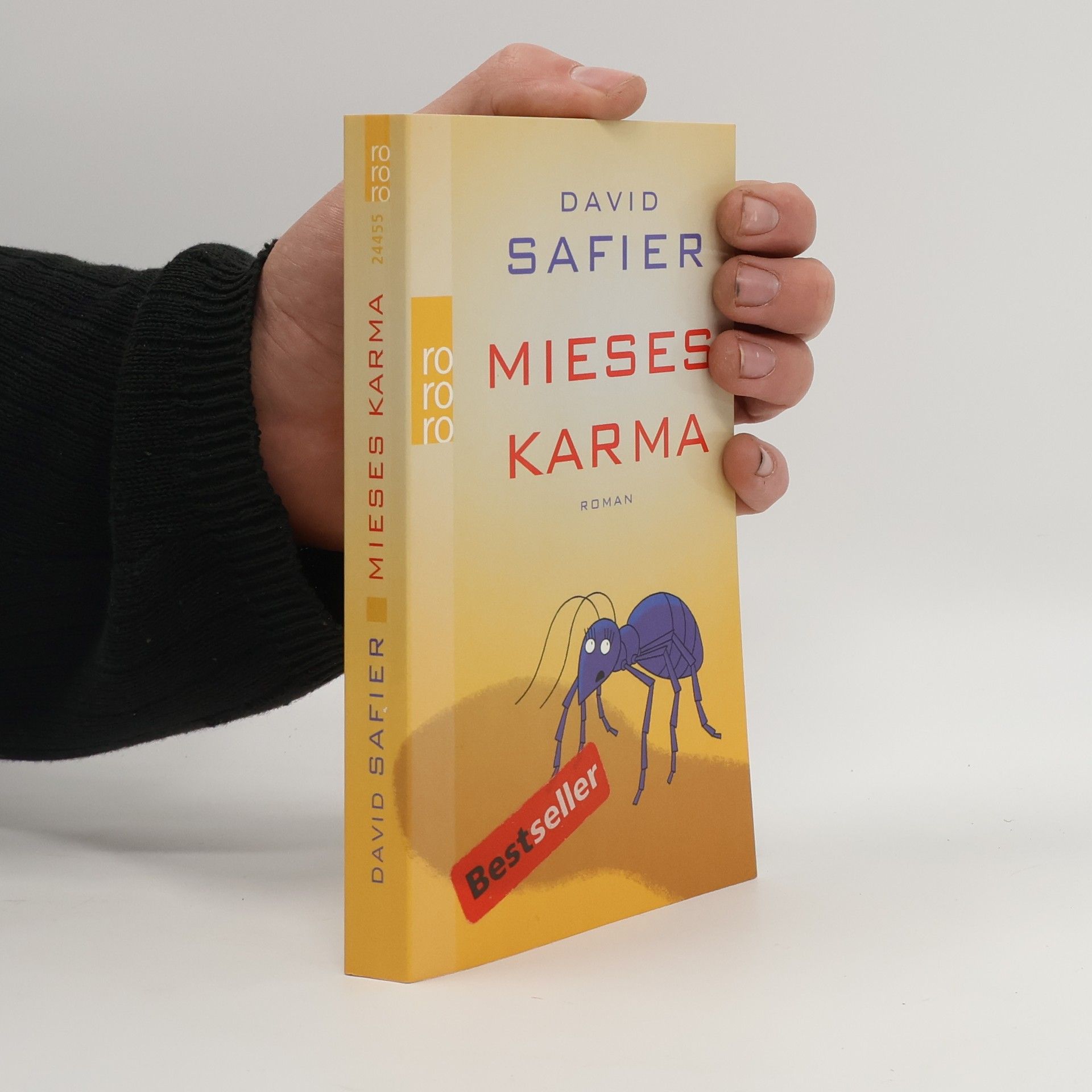 David Safier Mieses Karma