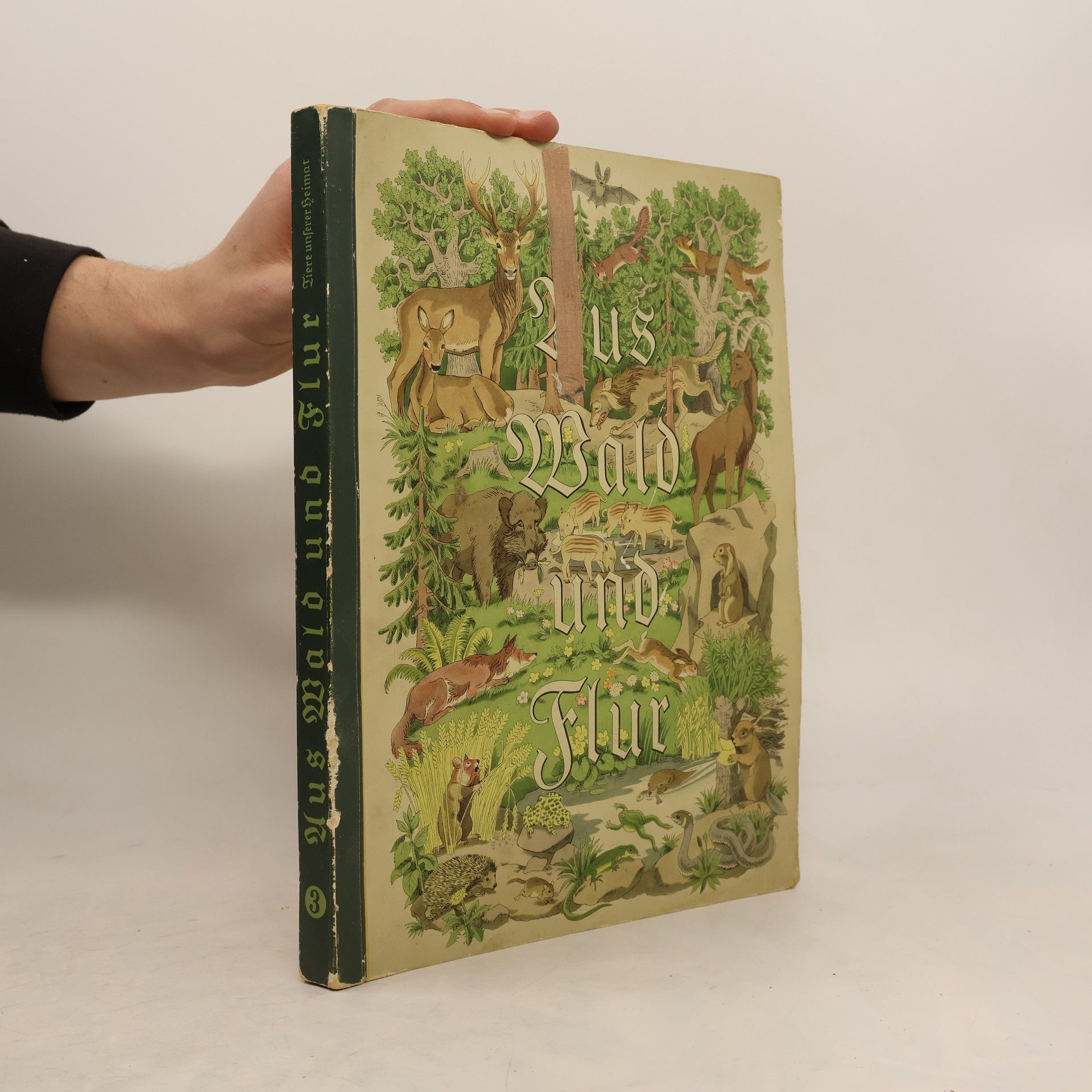 Autores varios Aus Wald und Flur