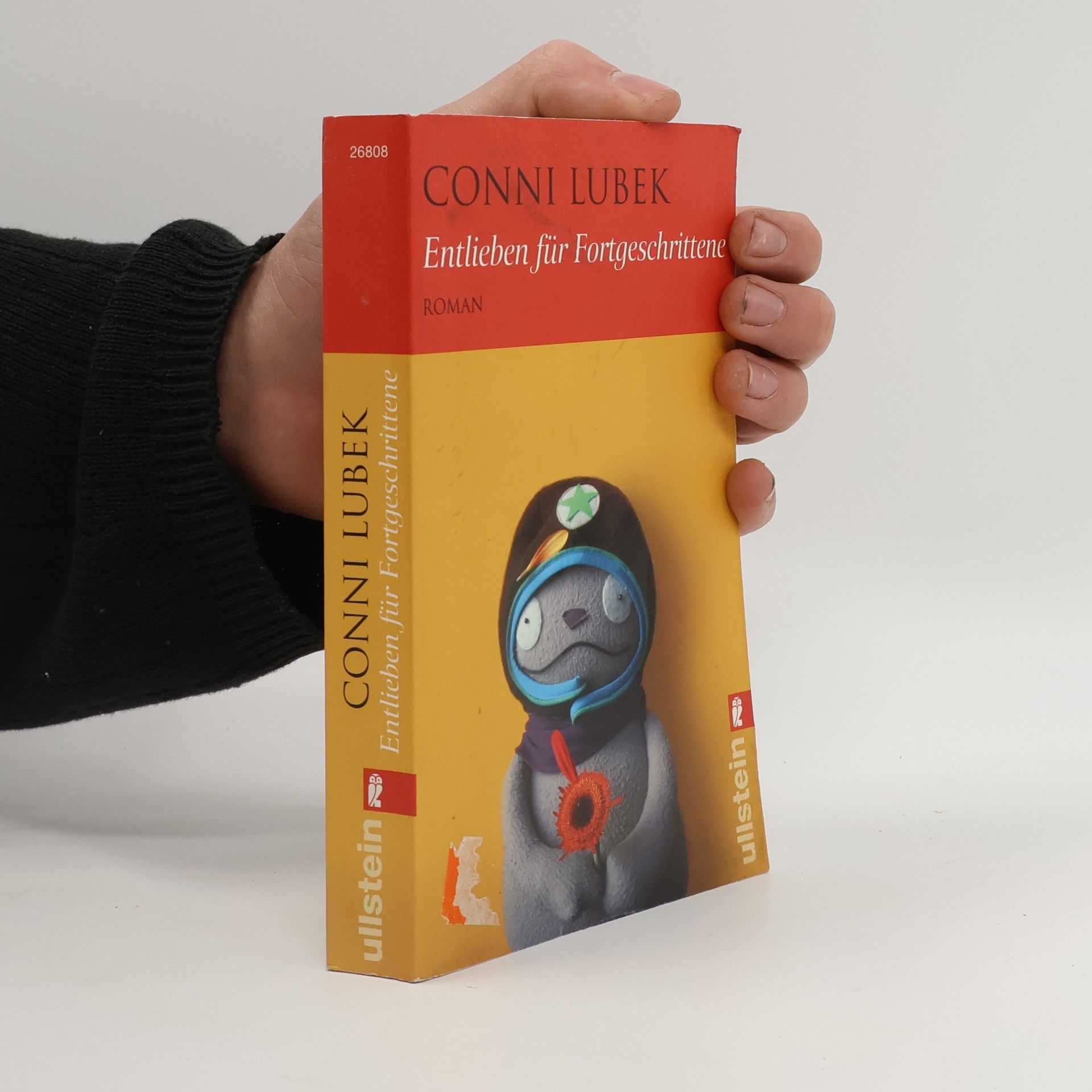 Conni Lubek Entlieben für Fortgeschrittene