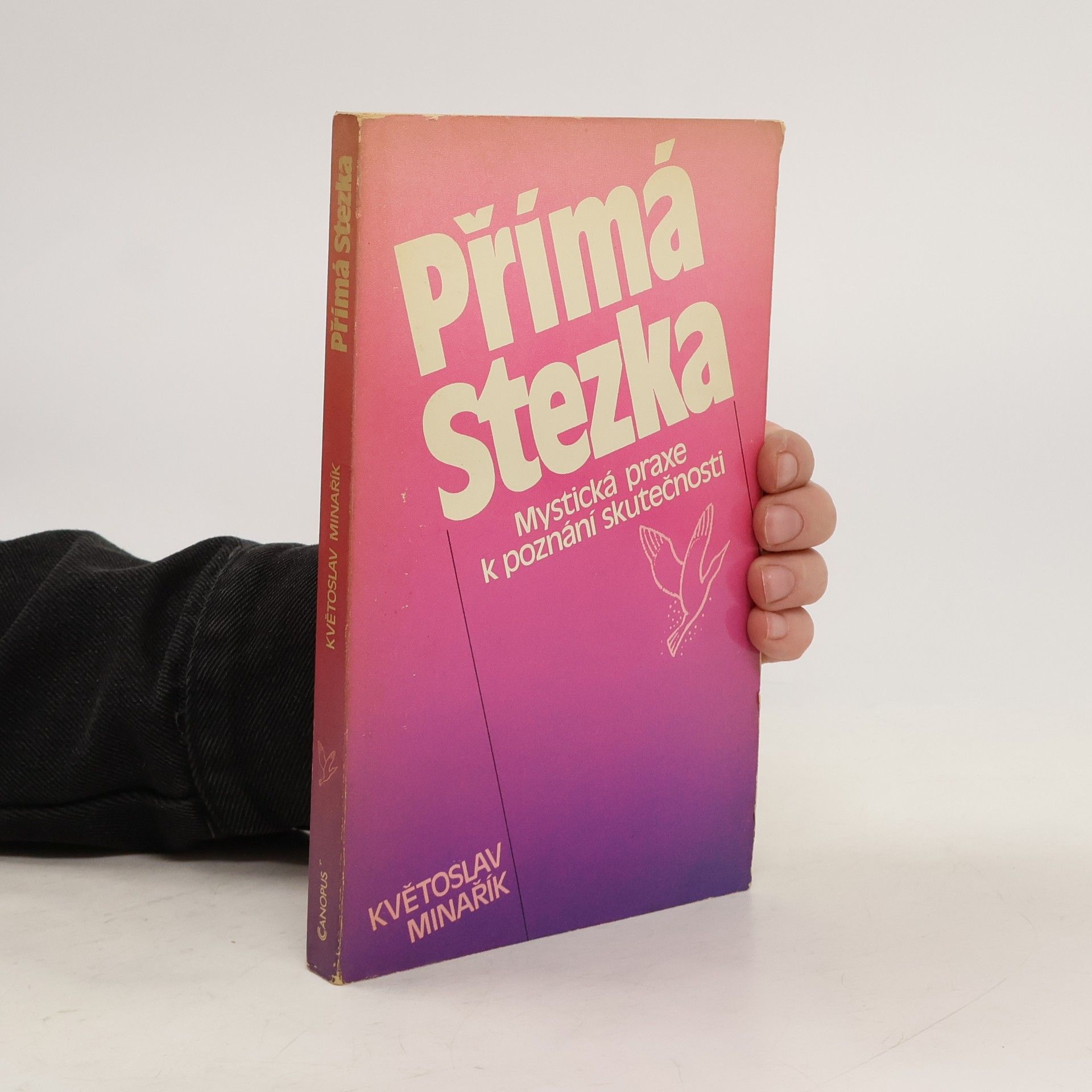 Květoslav Minařík Přímá stezka