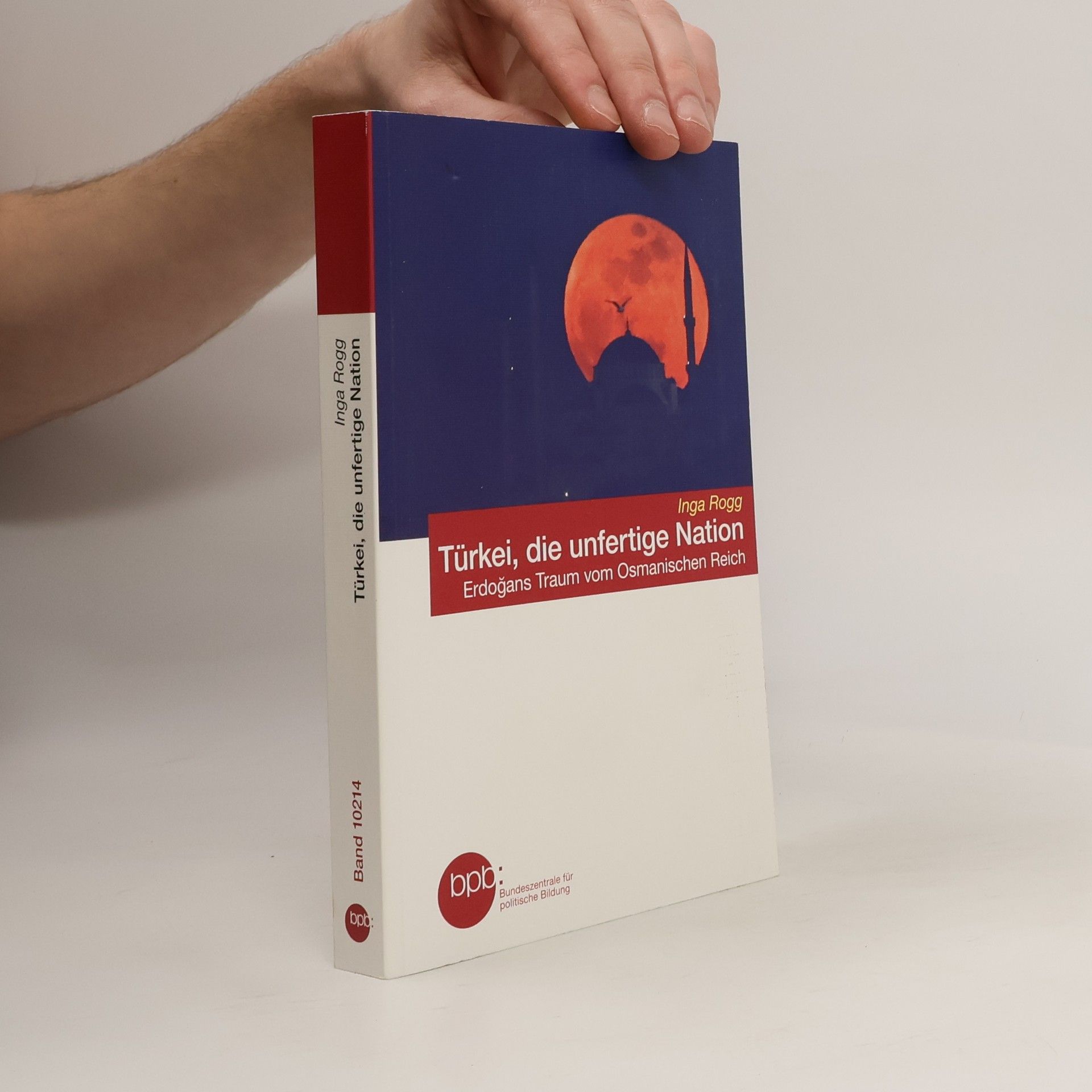 Inga Rogg Türkei, die unfertige Nation