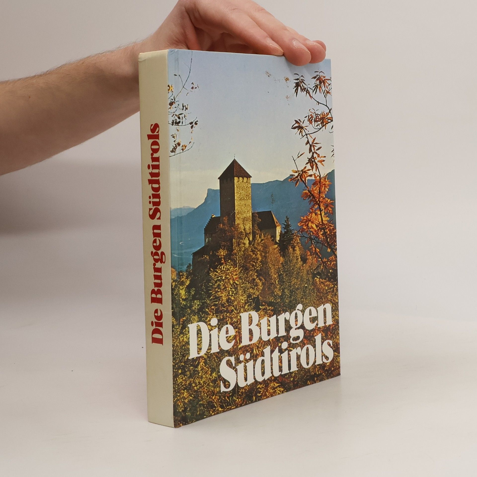 AA.VV. Die Burgen Südtirols