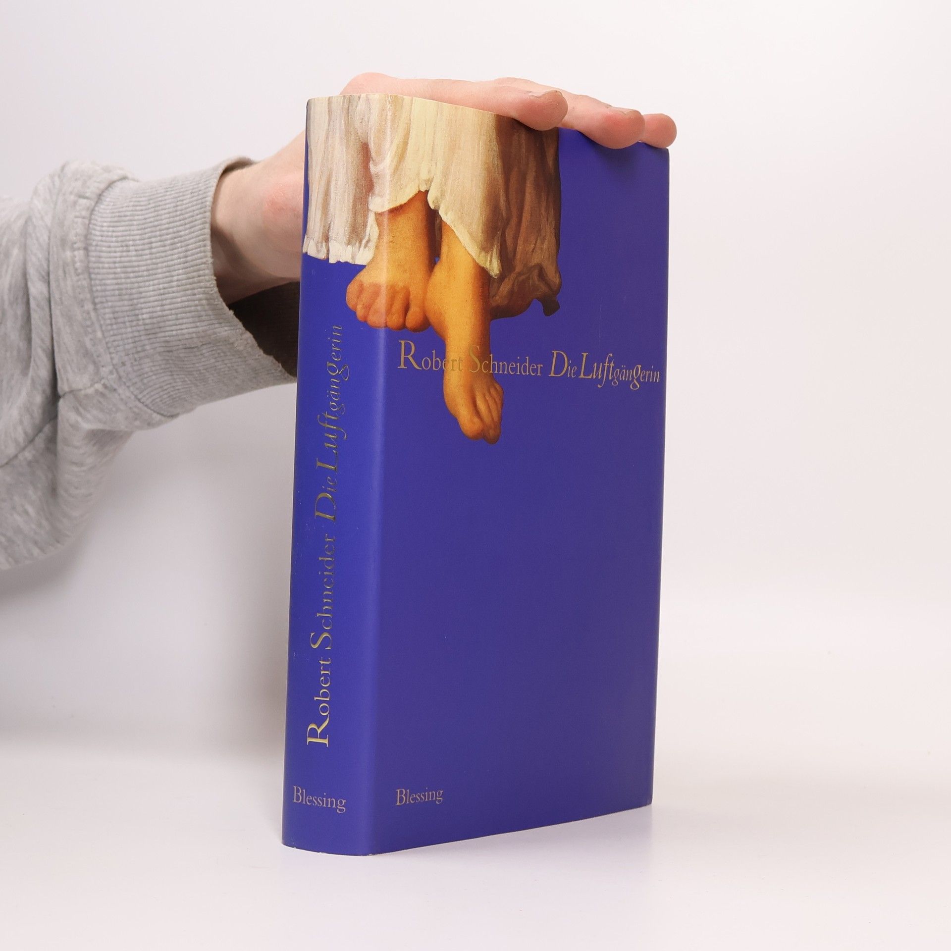 Robert Schneider Die Luftgängerin