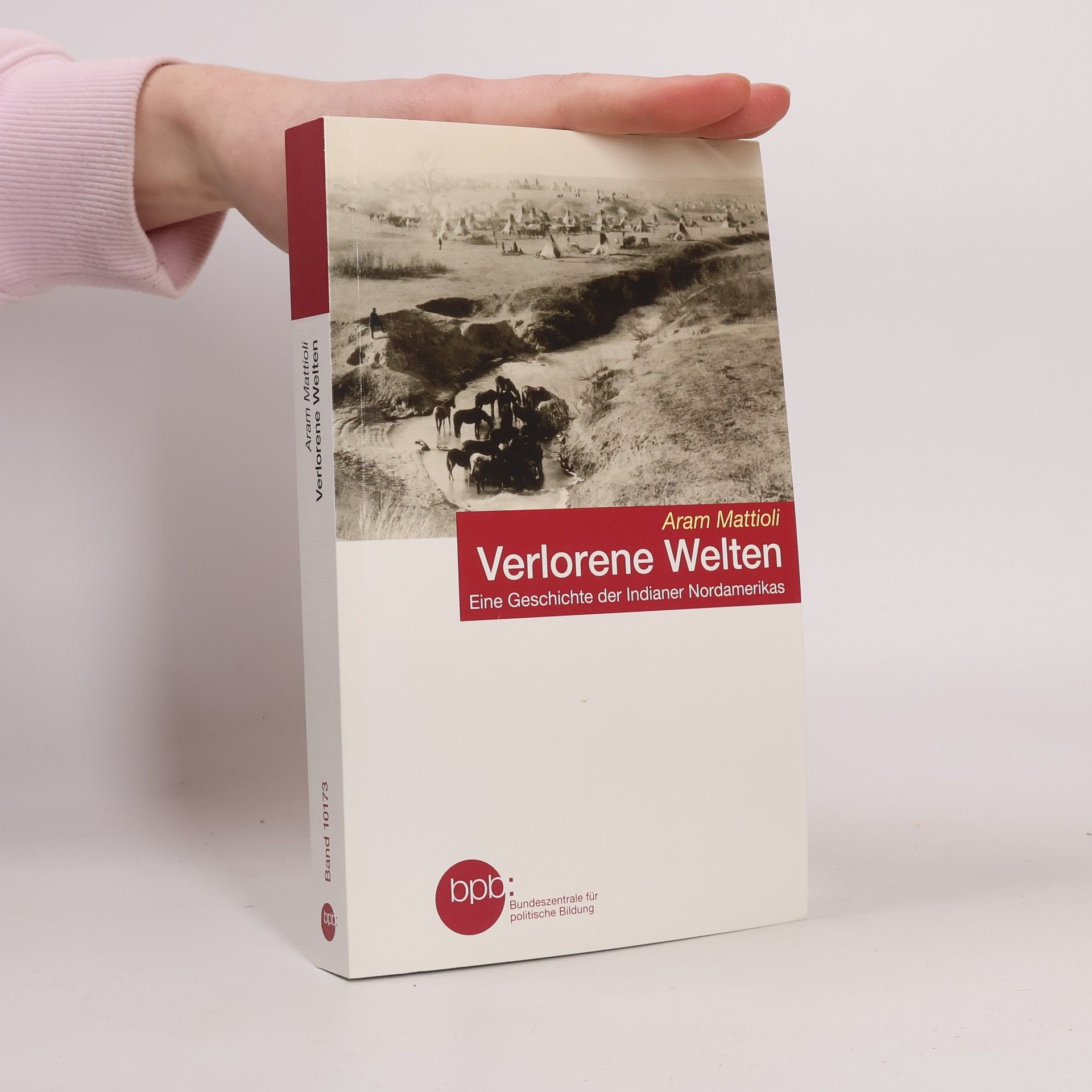 Aram Mattioli Verlorene Welten