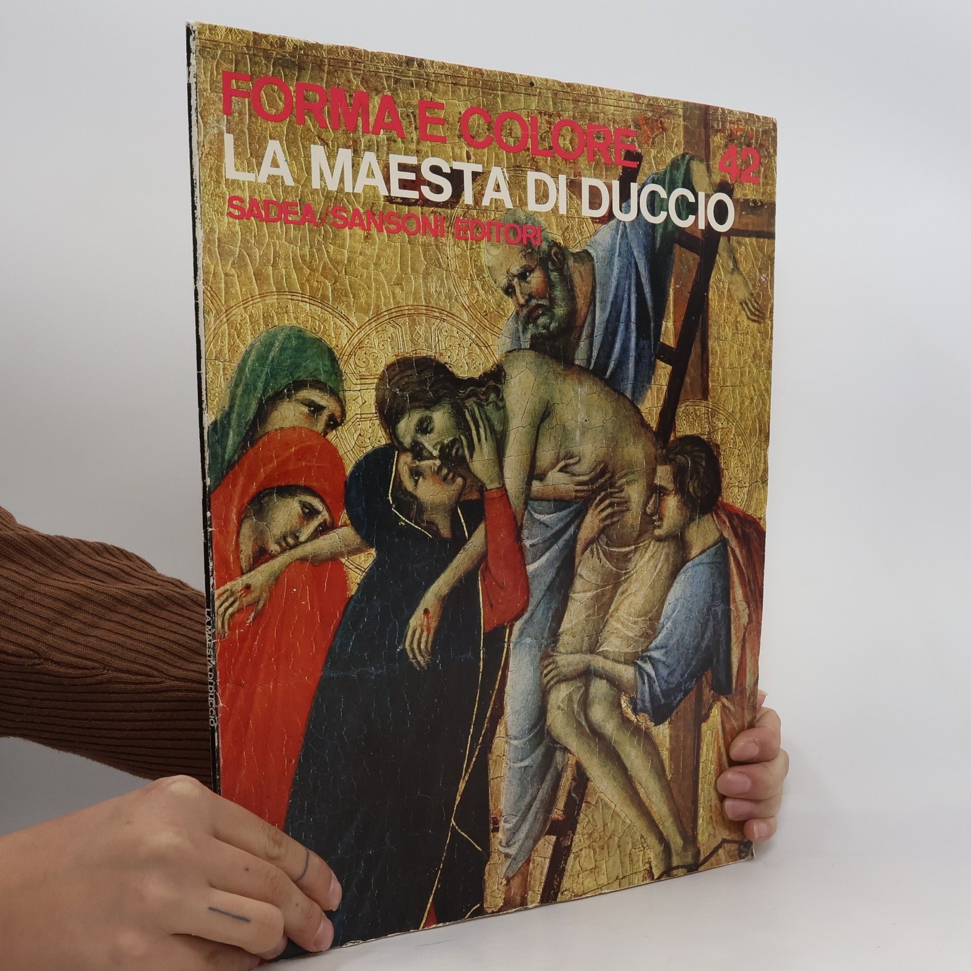 Kolektiv autorů Forma e colore. La Maesta di Duccio