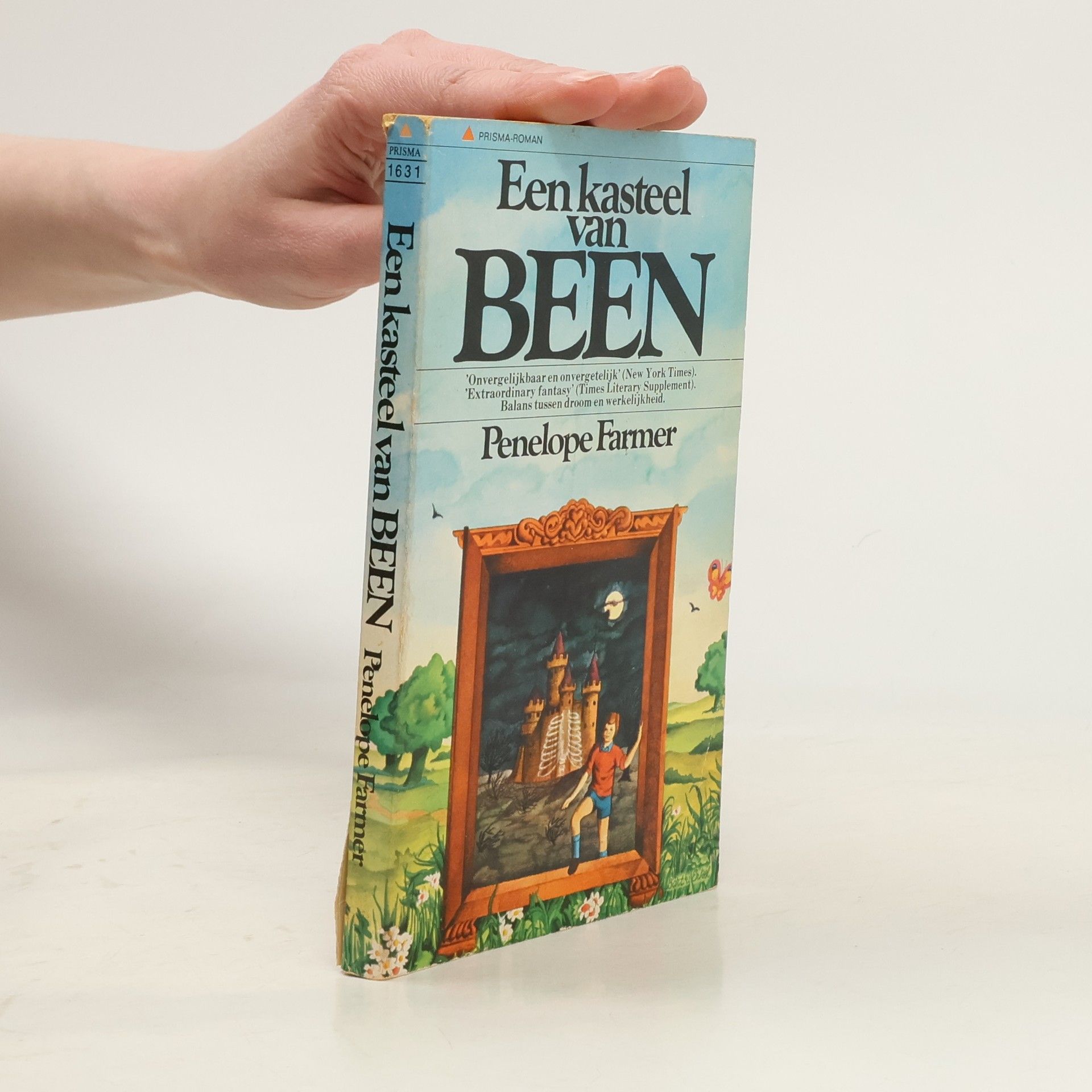 Penelope Farmer Een kasteel van Been