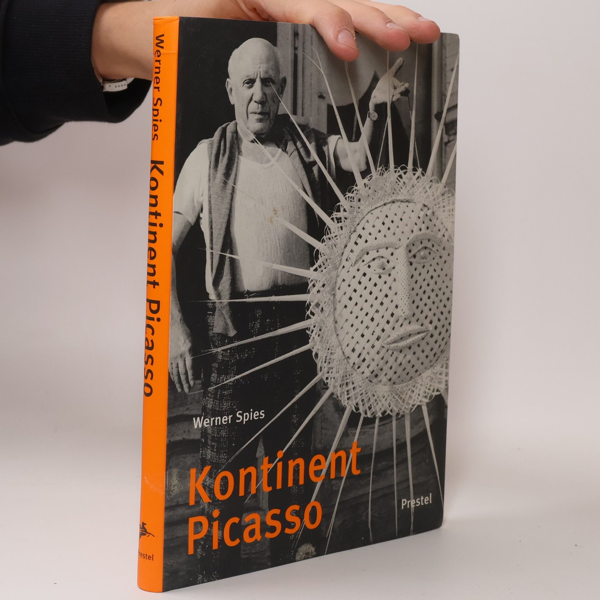 Werner Spies Kontinent Picasso