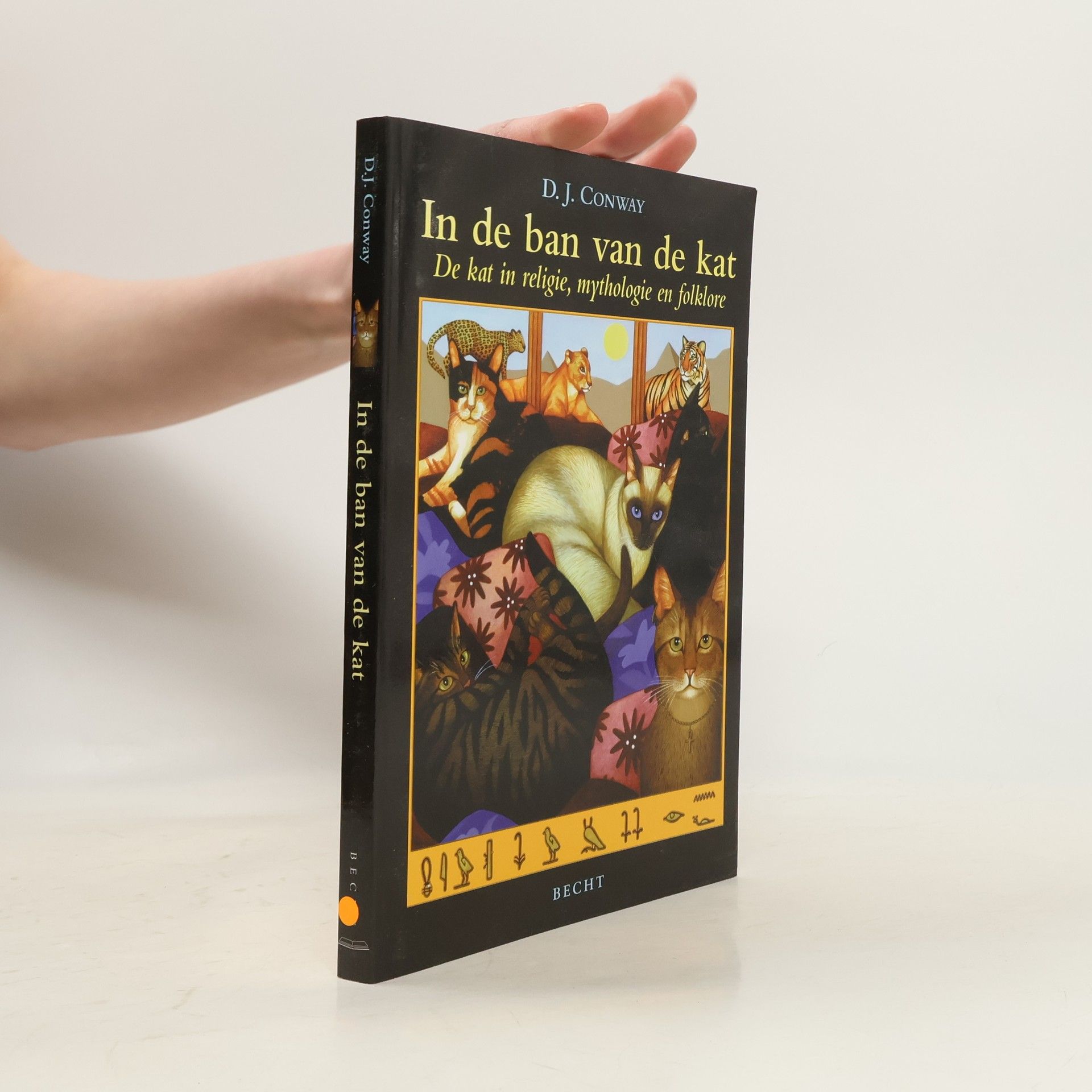 D. J. (Deanna J.) Conway In de ban van de kat