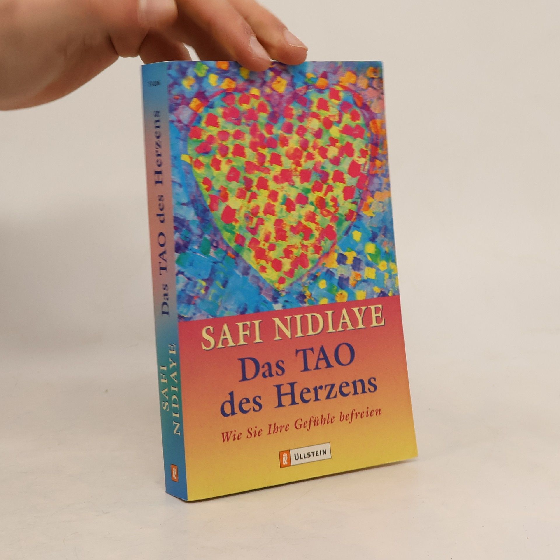 Safi Nidiaye Das Tao des Herzens