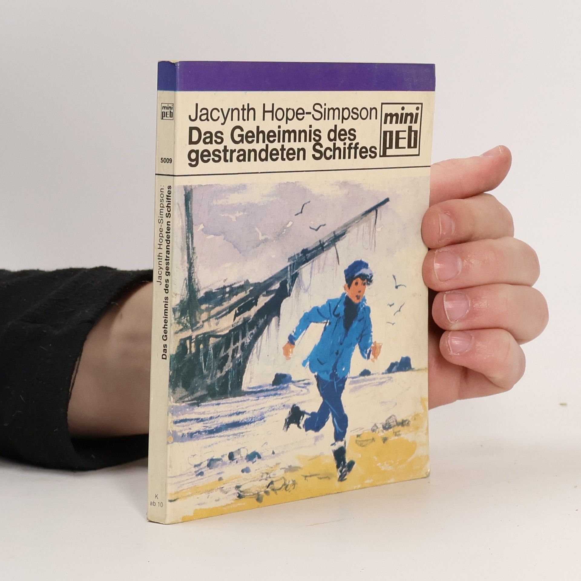 Jacynth Hope-Simpson Das Geheimnis des gestrandeten Schiffes