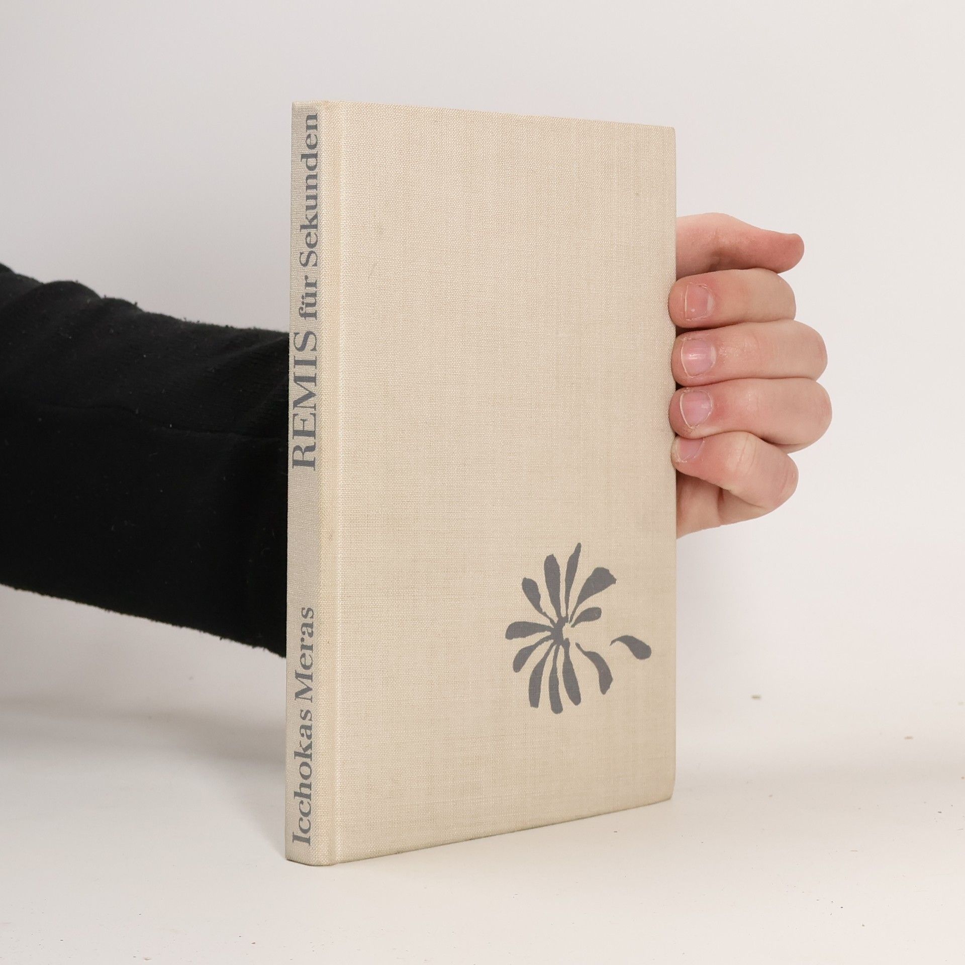 Icchokas Meras Remis für Sekunden