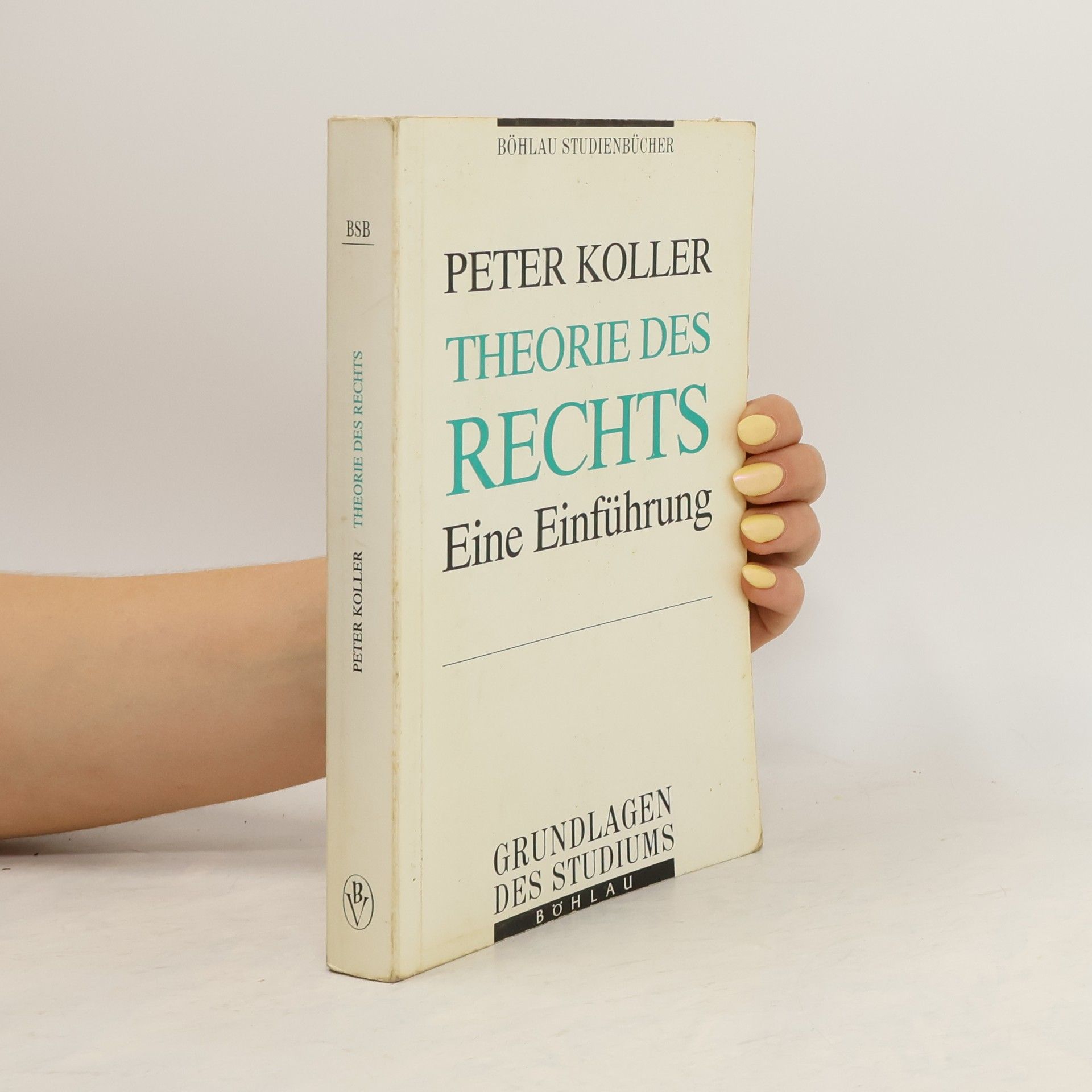 Peter Koller Theorie des Rechts