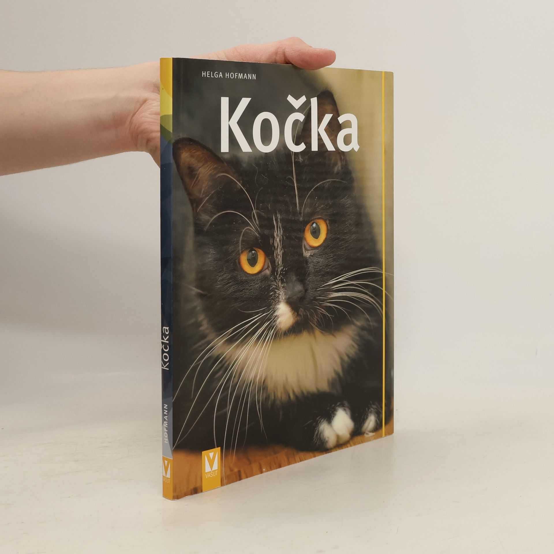 Ivana Čejková Kočka