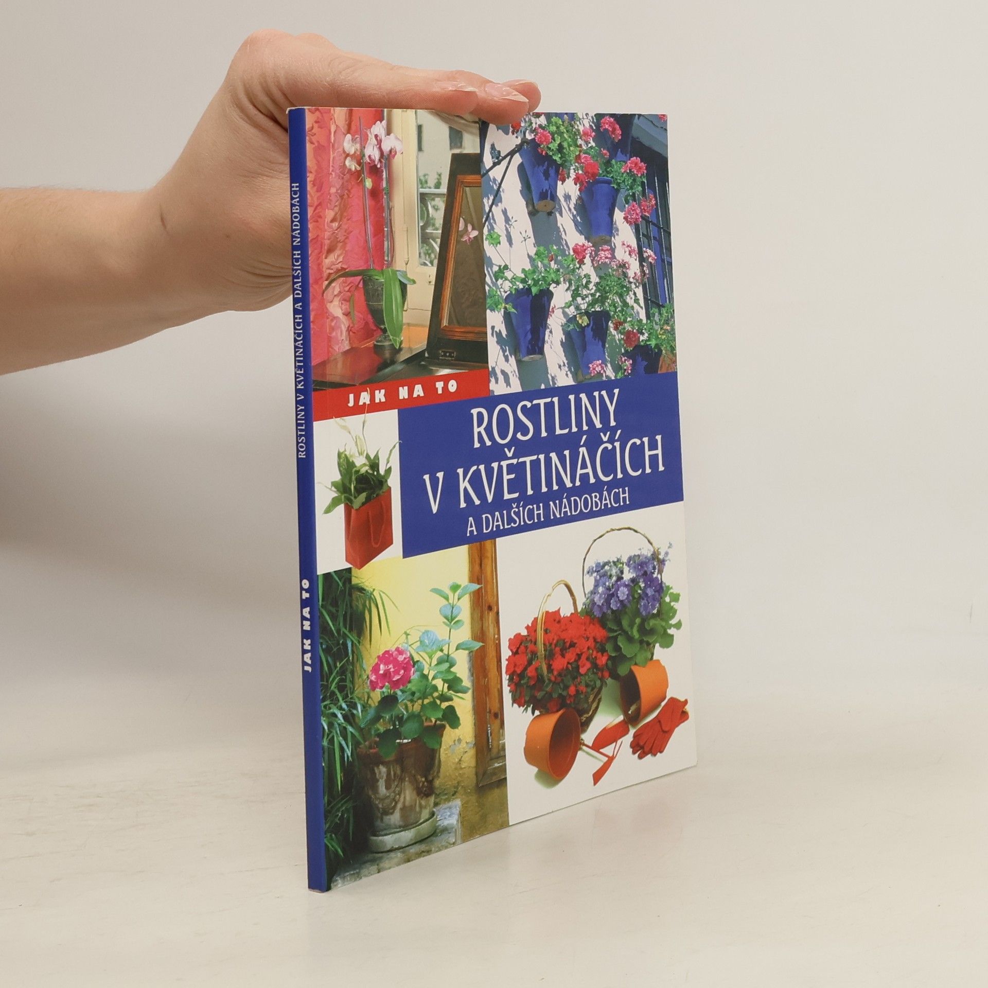 Jorge Echagüe Rostliny v květináčích a dalších nádobách