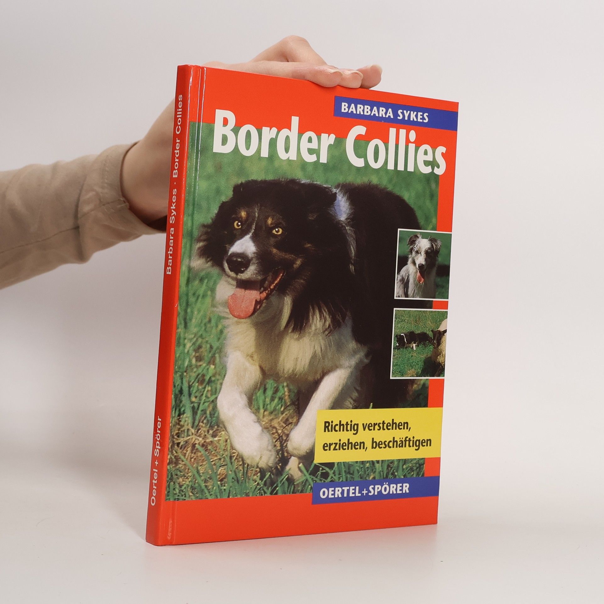 Barbara Sykes Border Collies