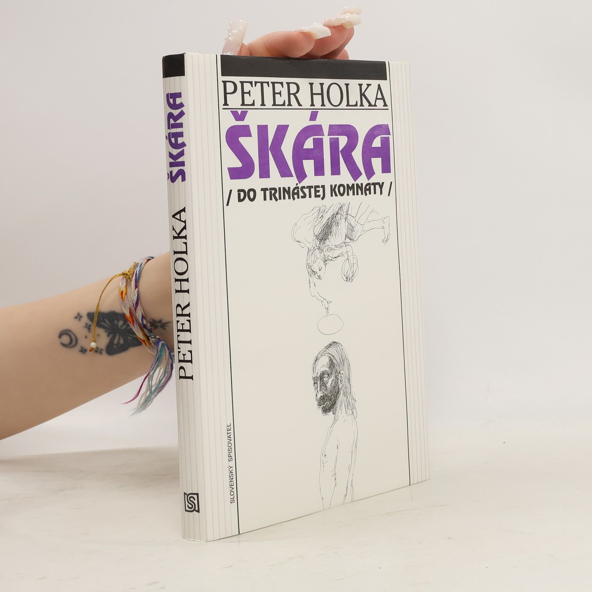 Peter Holka Škára (do trinástej komnaty)