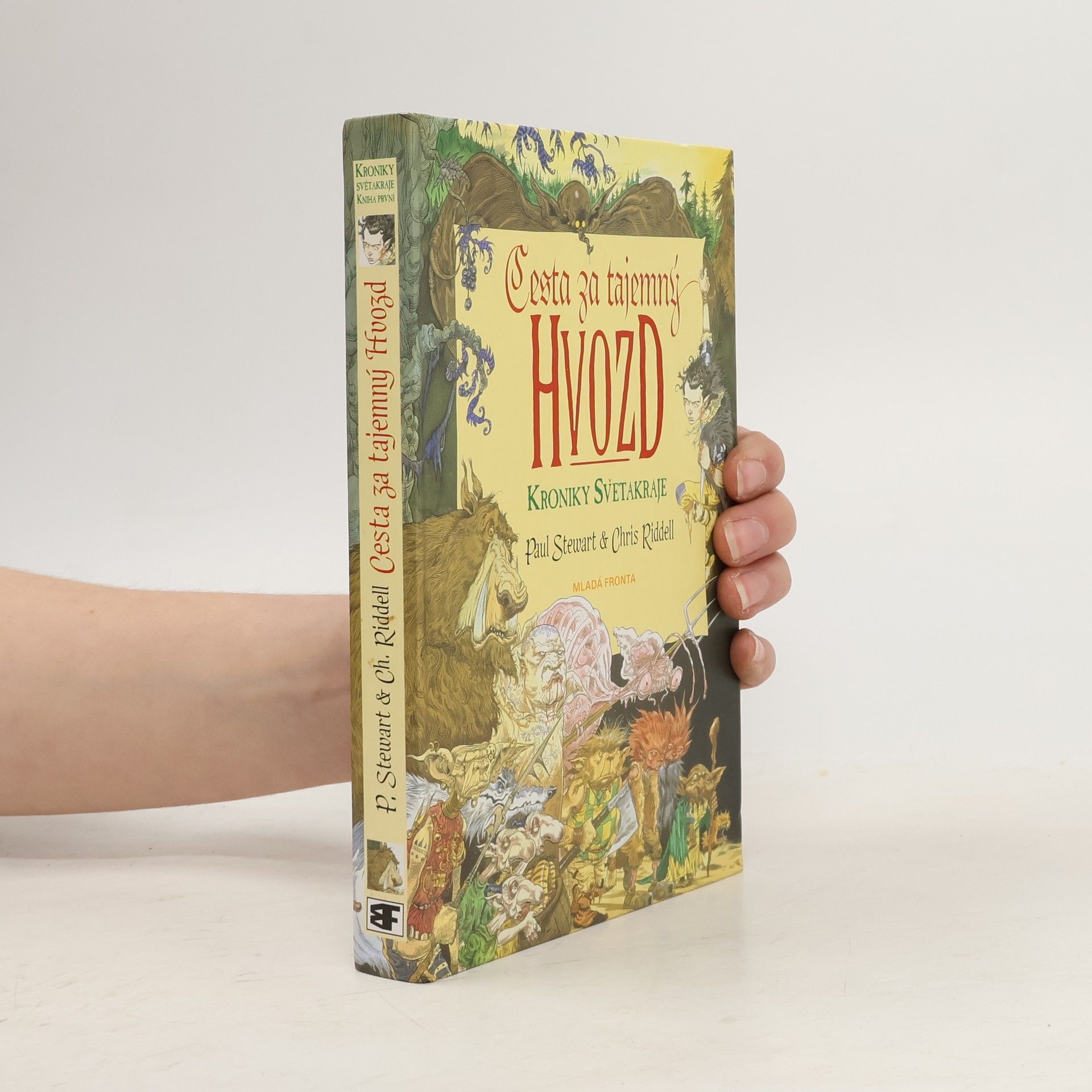 Paul Stewart Cesta za tajemný Hvozd. Kniha první