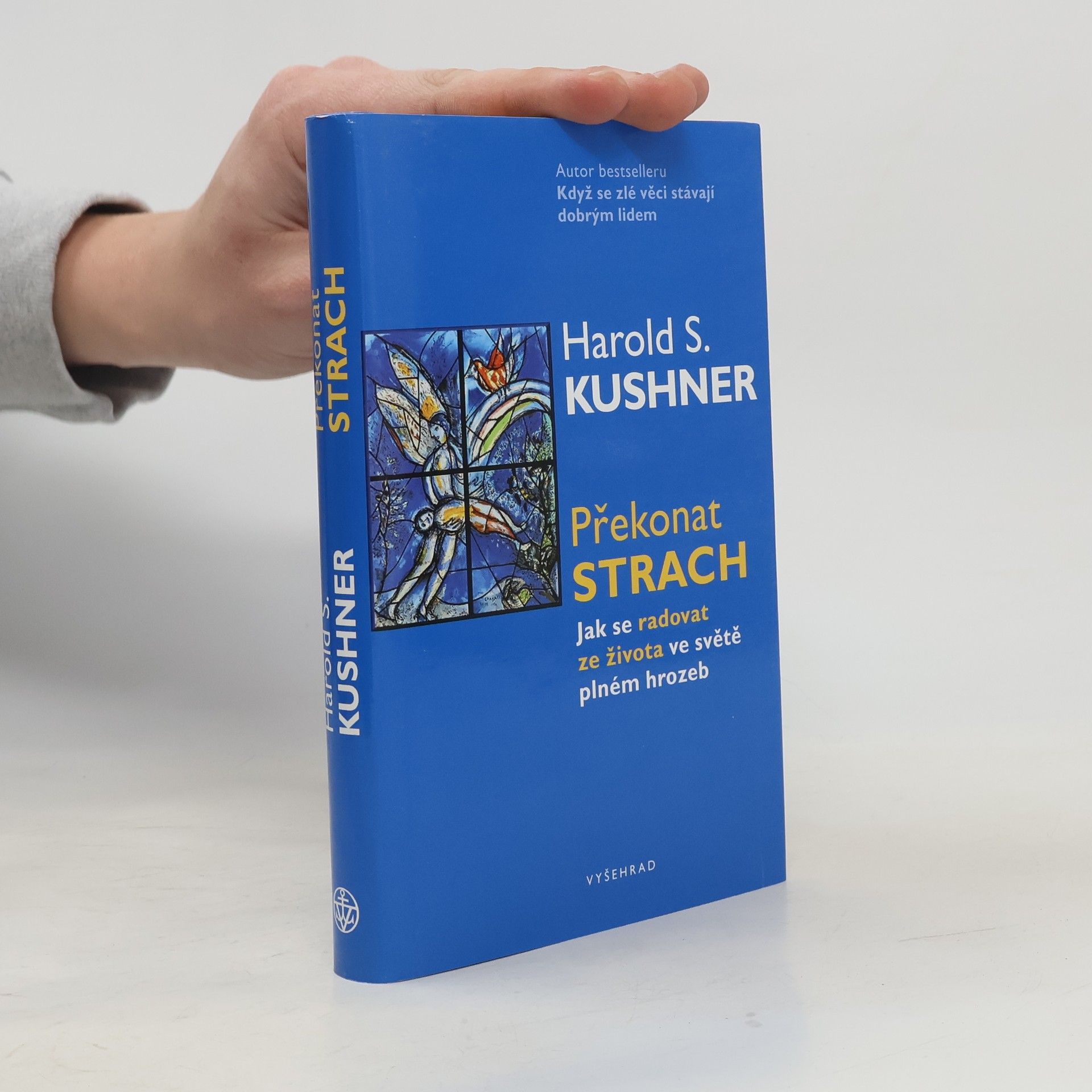 Harold S. Kushner Překonat strach
