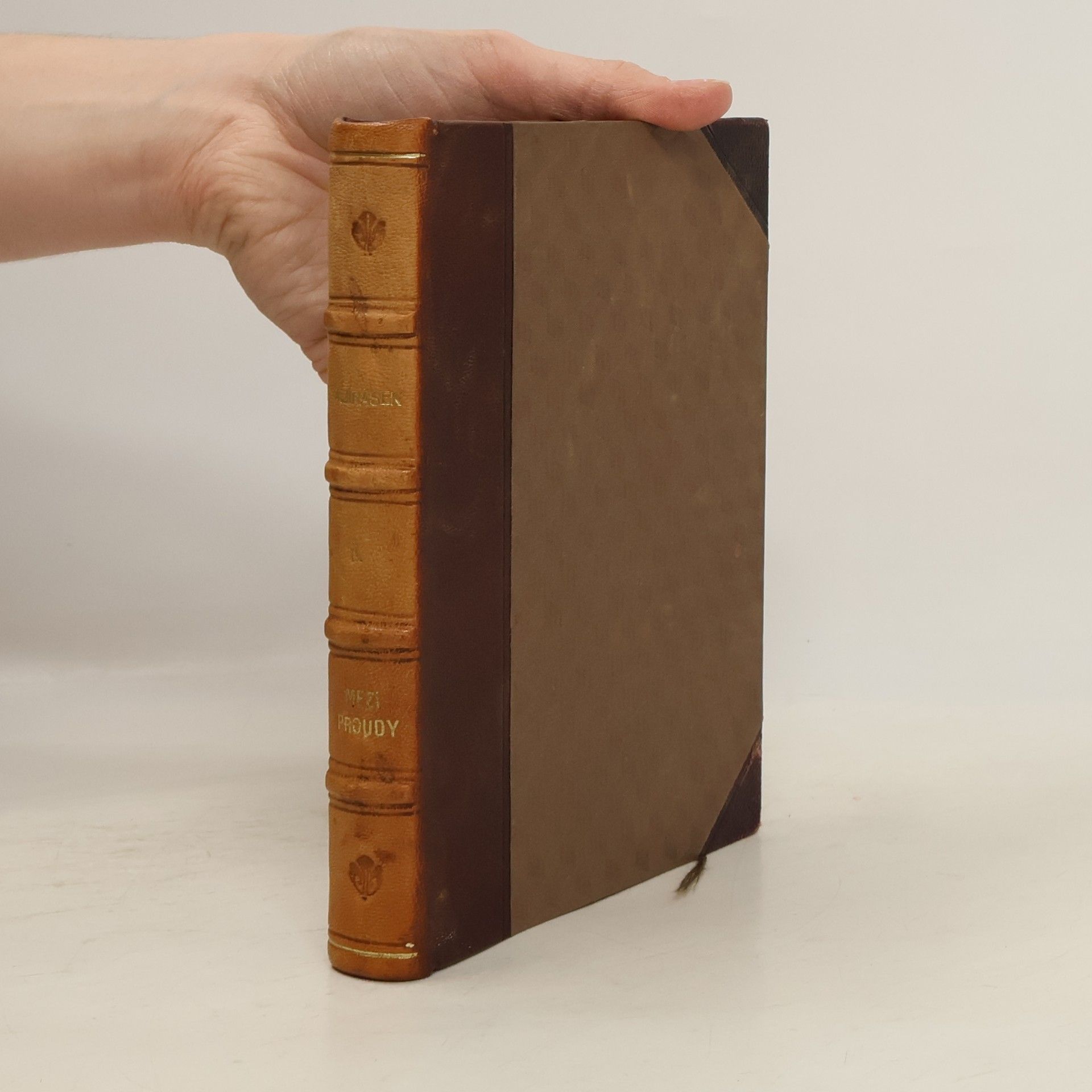 Alois Jirásek Mezi proudy