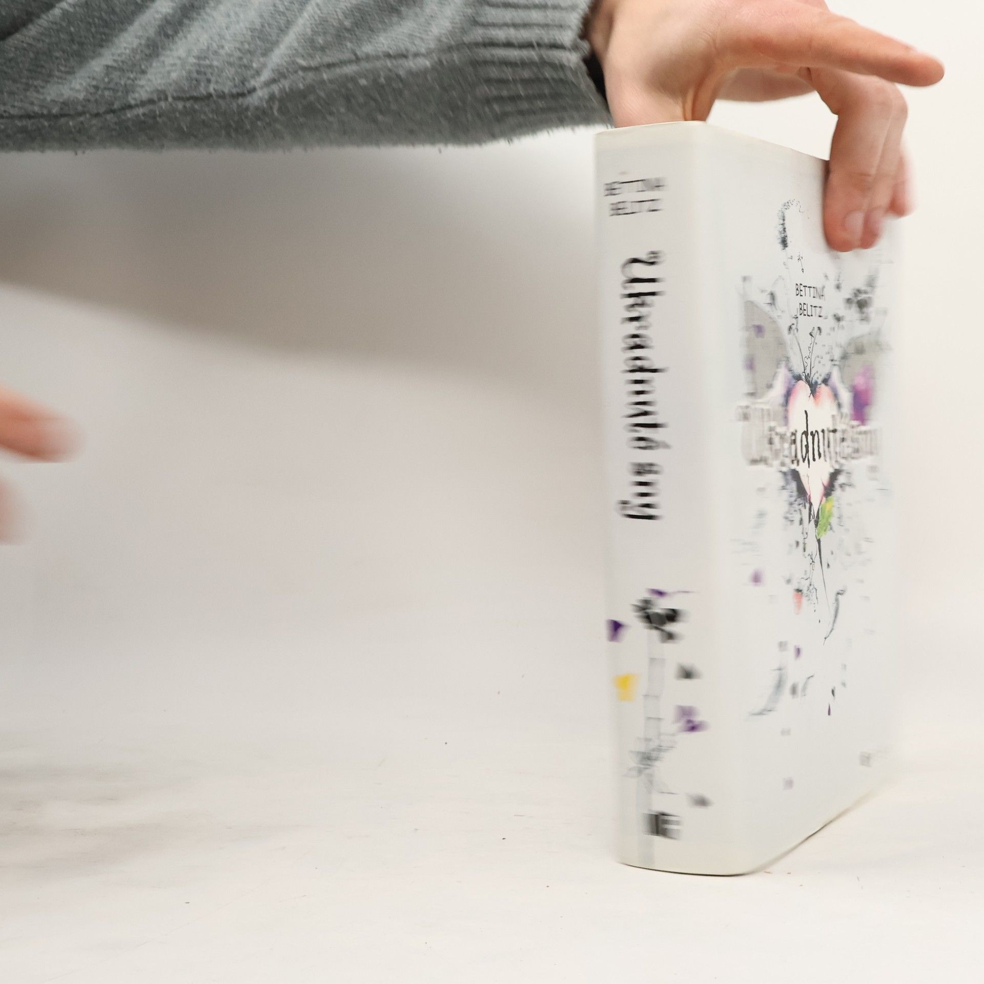 Bettina Belitz Ukradnuté sny