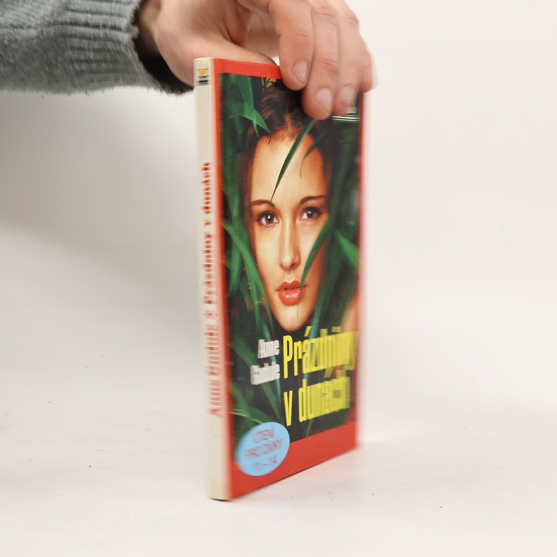 Anne Karali Prázdniny v dunách