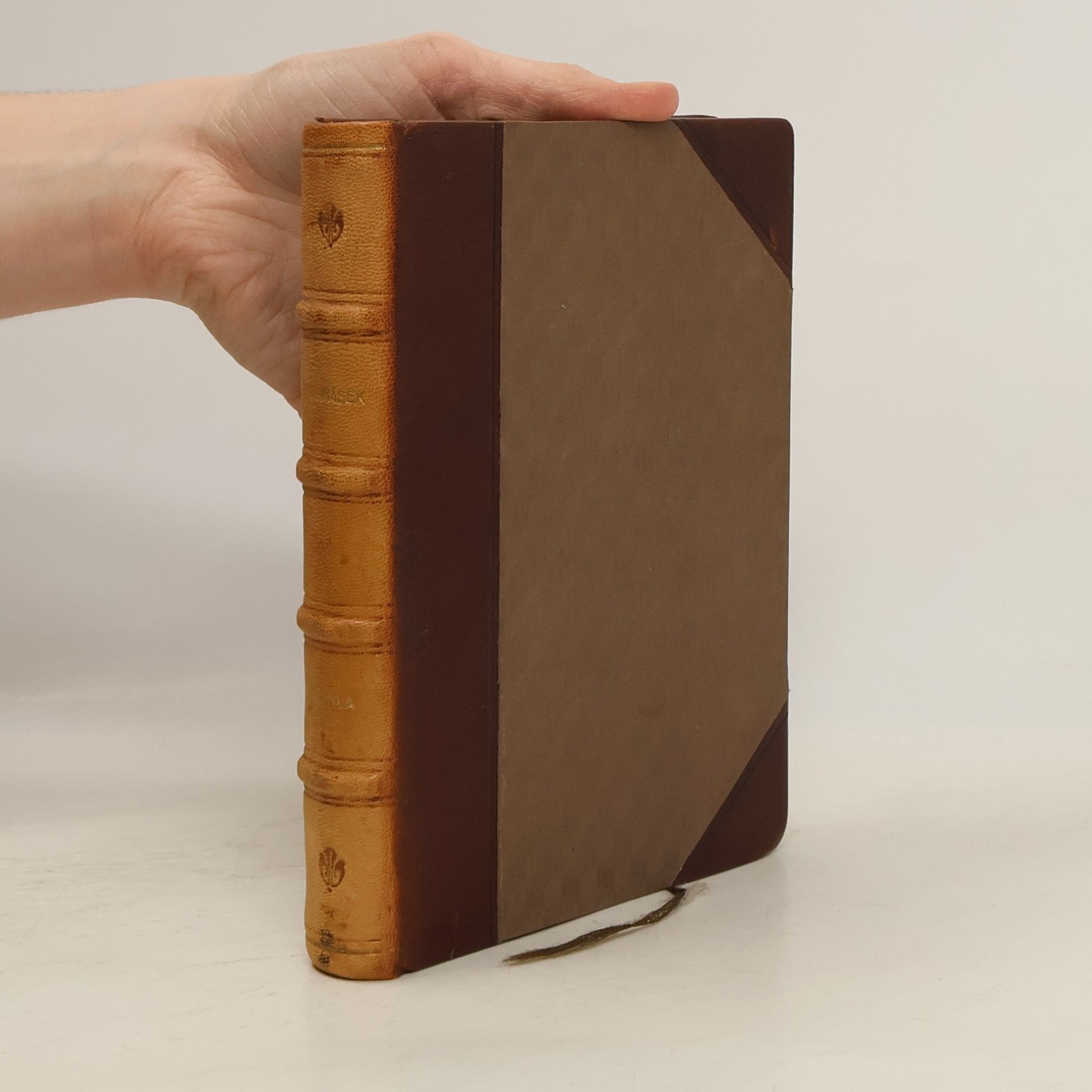 Alois Jirásek Maryla a jiné povídky