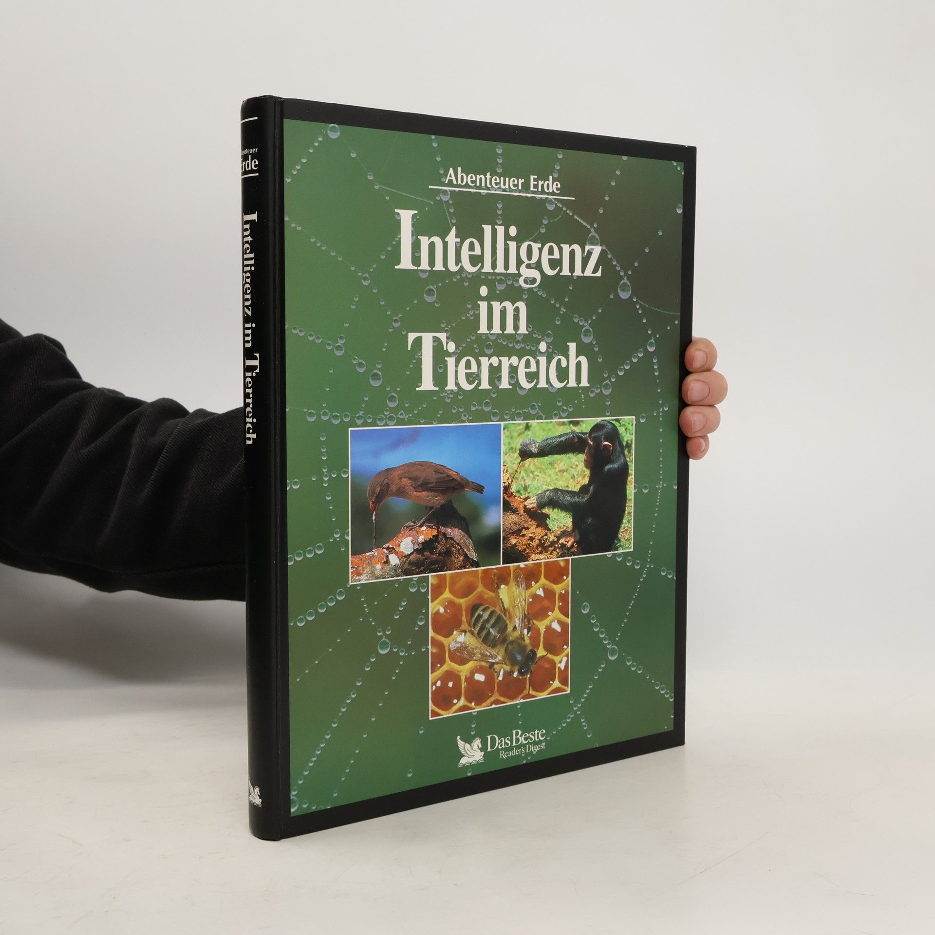 Autorenkollektiv Intelligenz im Tierreich