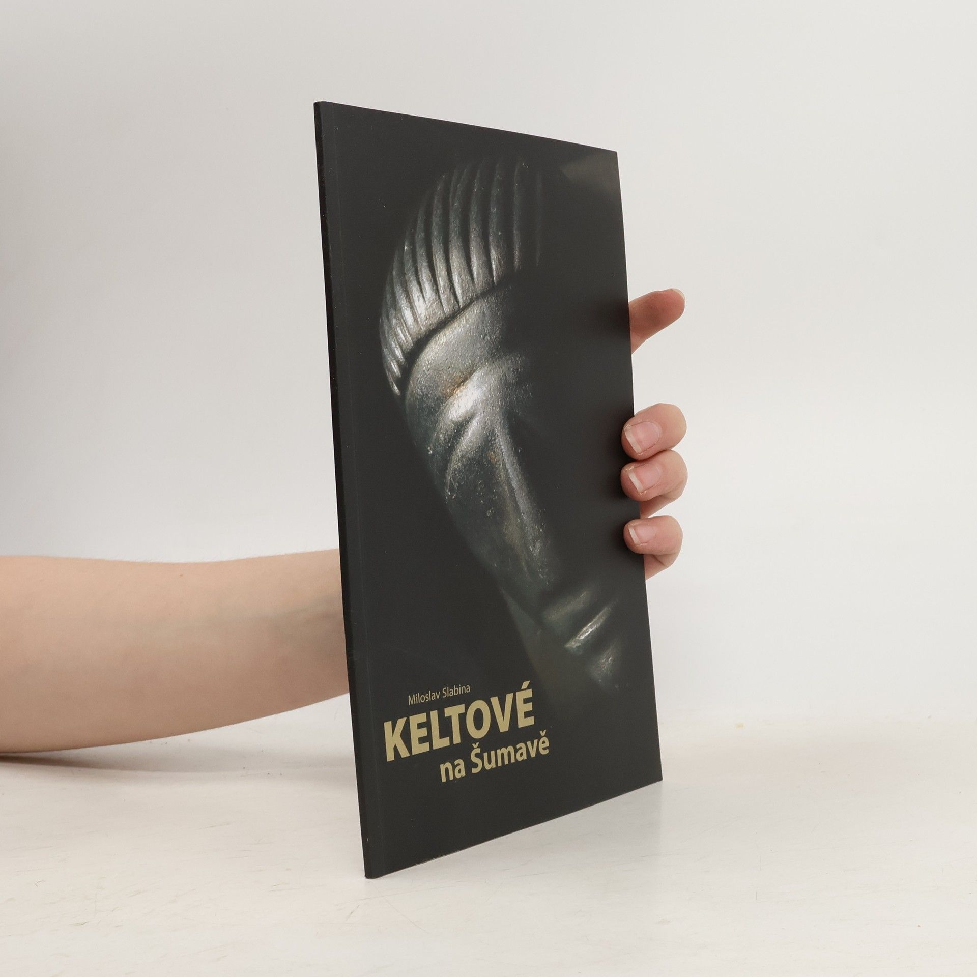 Miloslav Slabina Keltové na Šumavě : za tajemstvím Obřího hradu