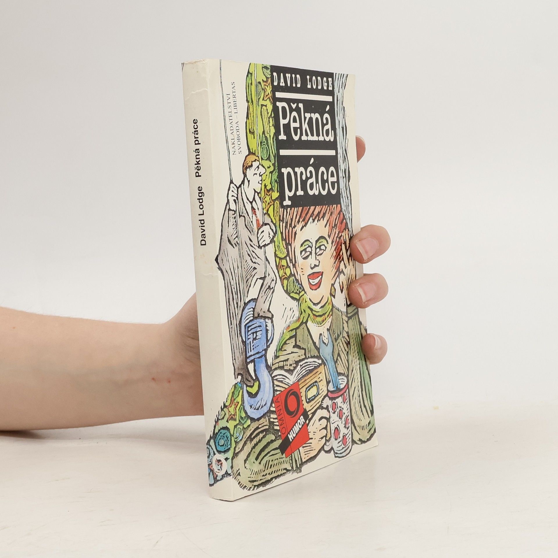 David Lodge Pěkná práce