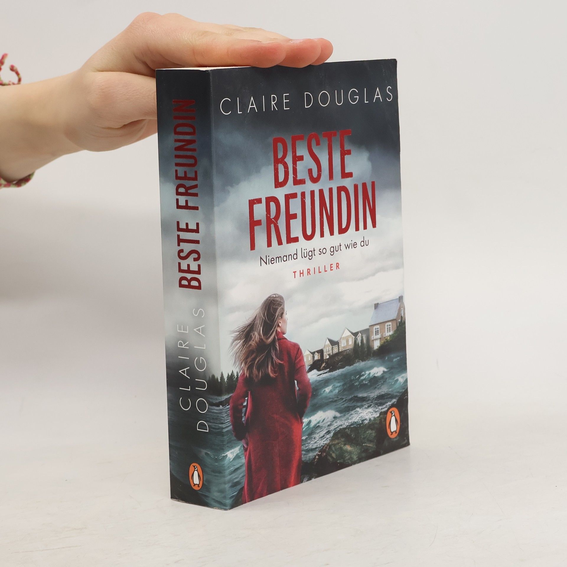 Claire Douglas Beste Freundin. Niemand lügt so gut wie du