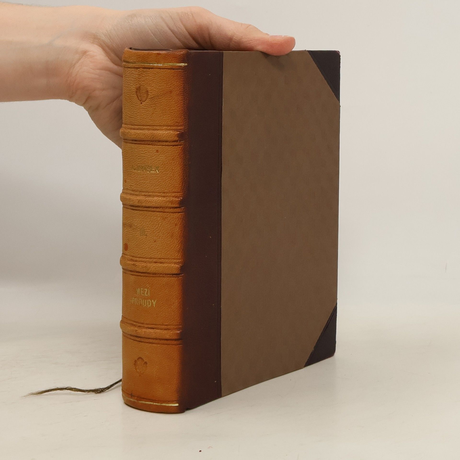 Alois Jirásek Mezi proudy