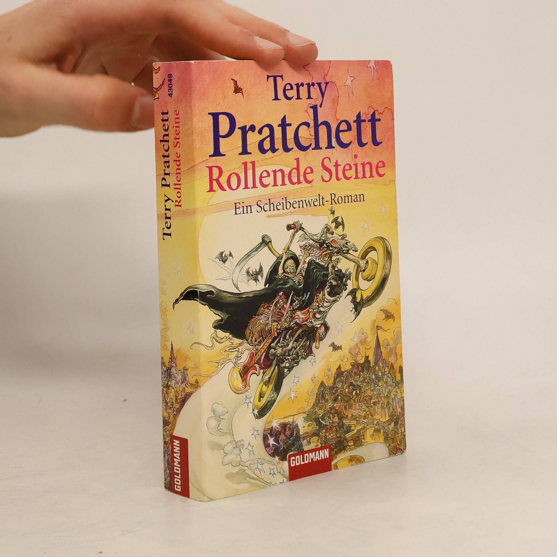Terry Pratchett Rollende Steine