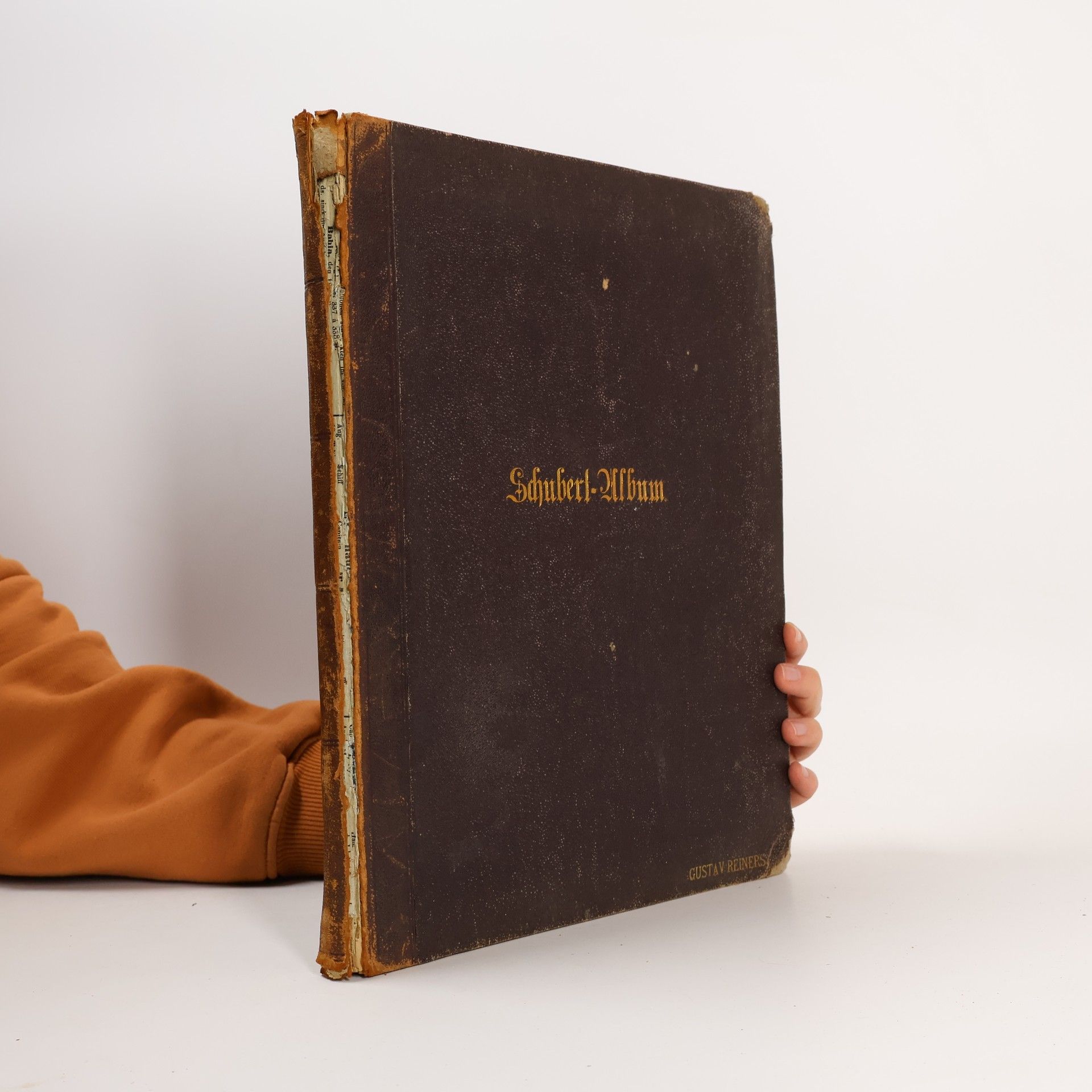 Franz Schubert Schubert-Album