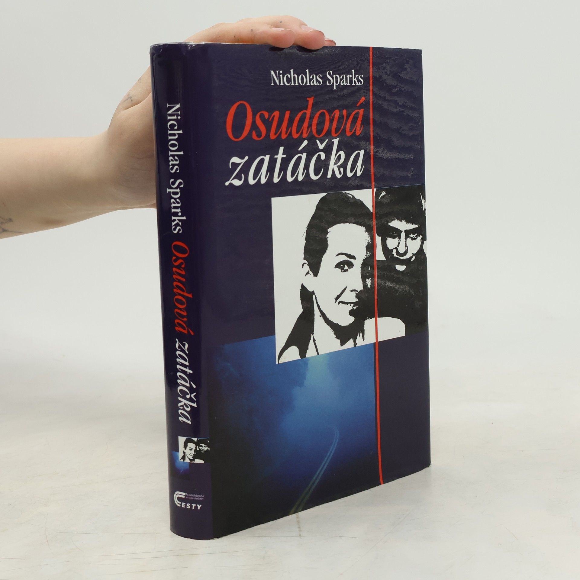 Nicholas Sparks Osudová zatáčka