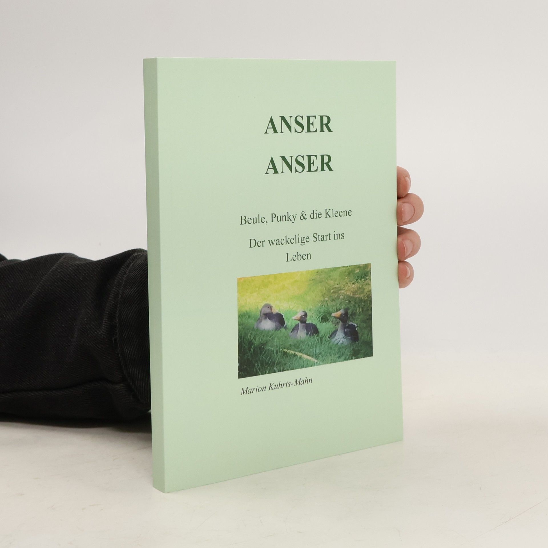 Marion Kuhrts-Mahn Anser Anser. Beule, Punky & die Kleen