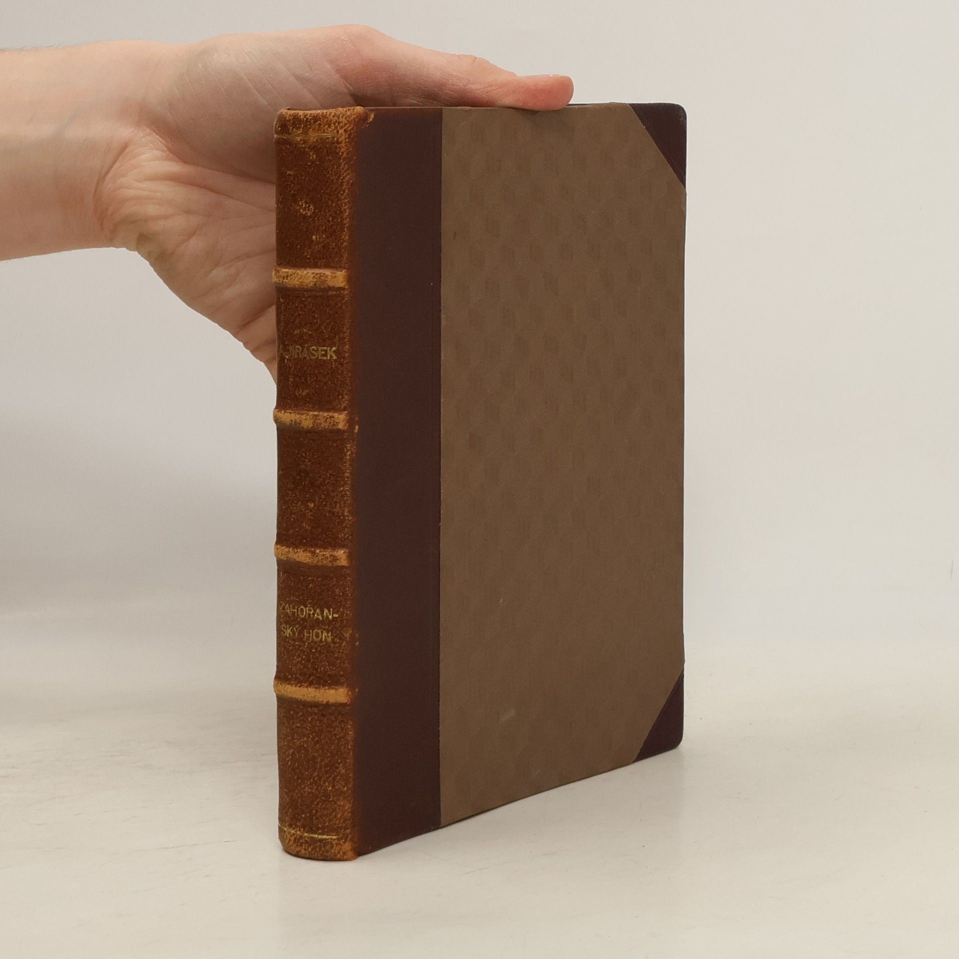 Alois Jirásek Zahořanský hon