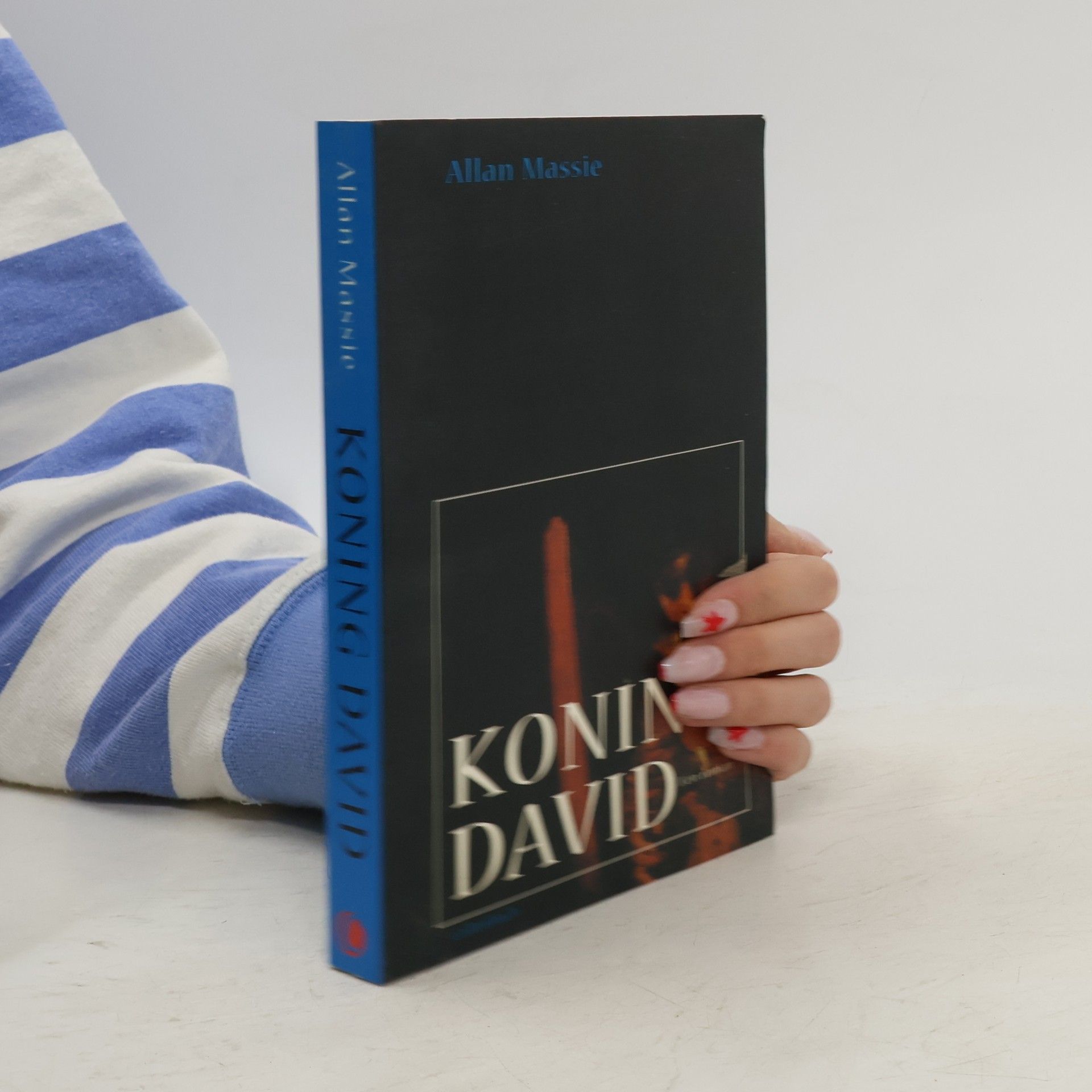 Allan Massie Koning David