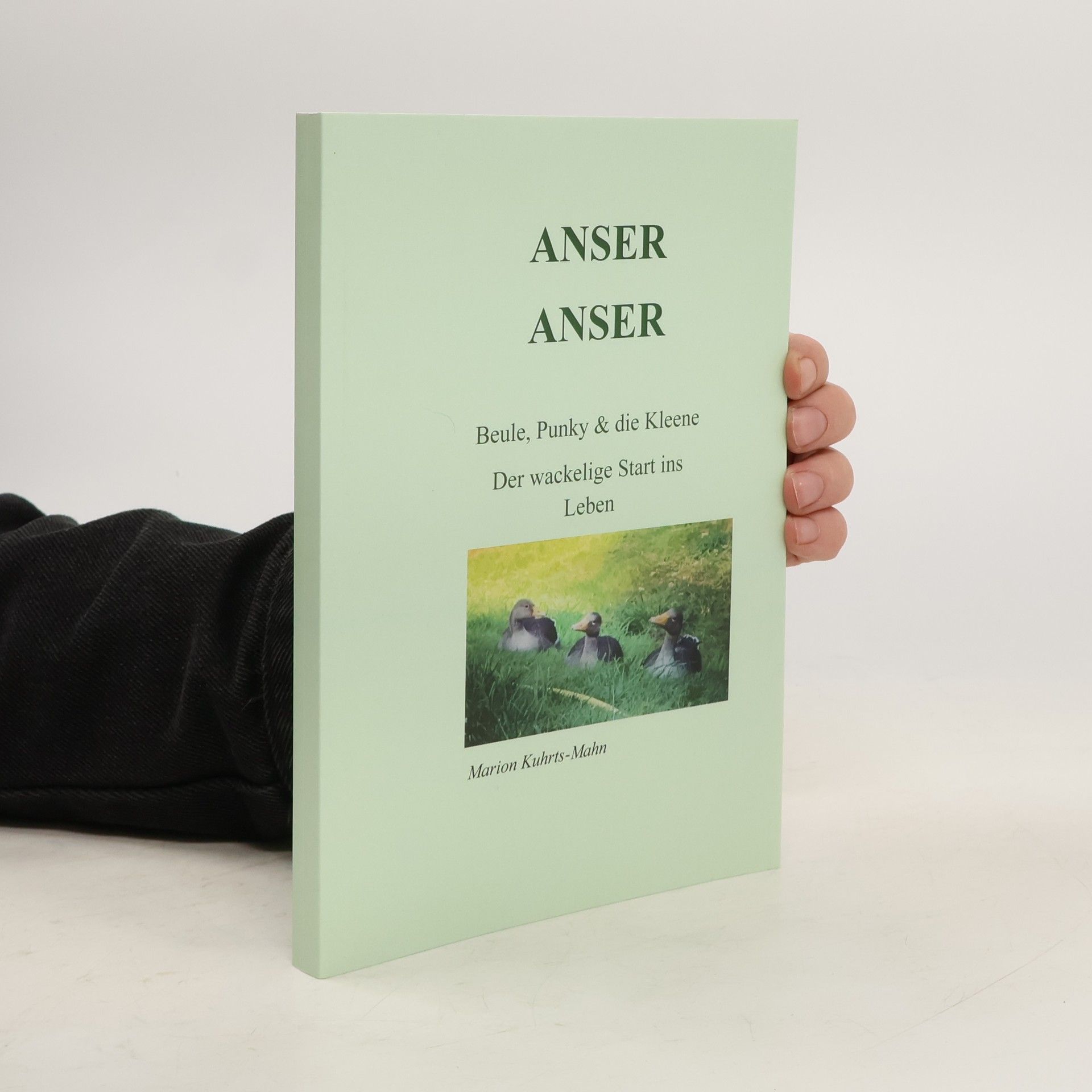 Marion Kuhrts-Mahn Anser Anser. Beule, Punky & die Kleen