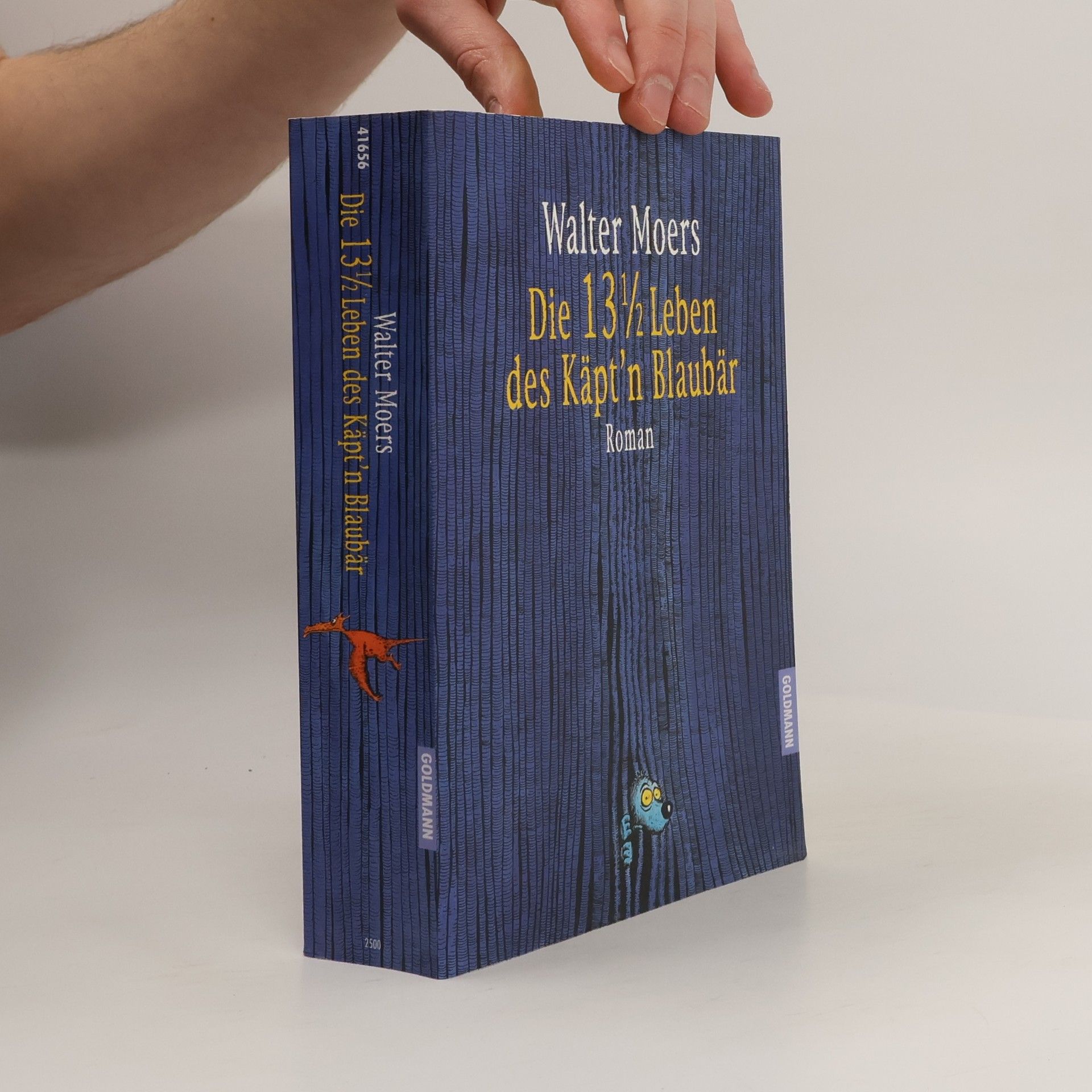 Walter Moers Die 13 1/2 Leben des Käpt’n Blaubär