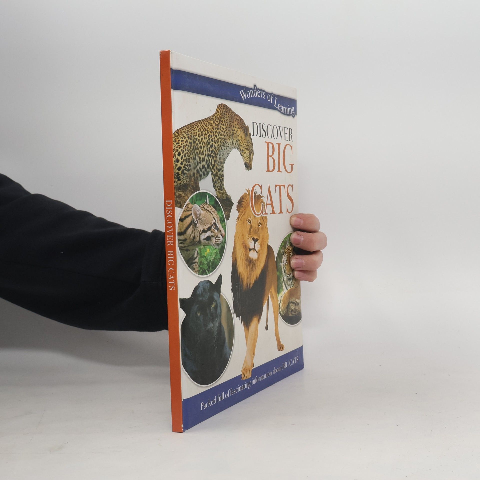 Kolektív autorov Wonders of Learning: Discover Big Cats