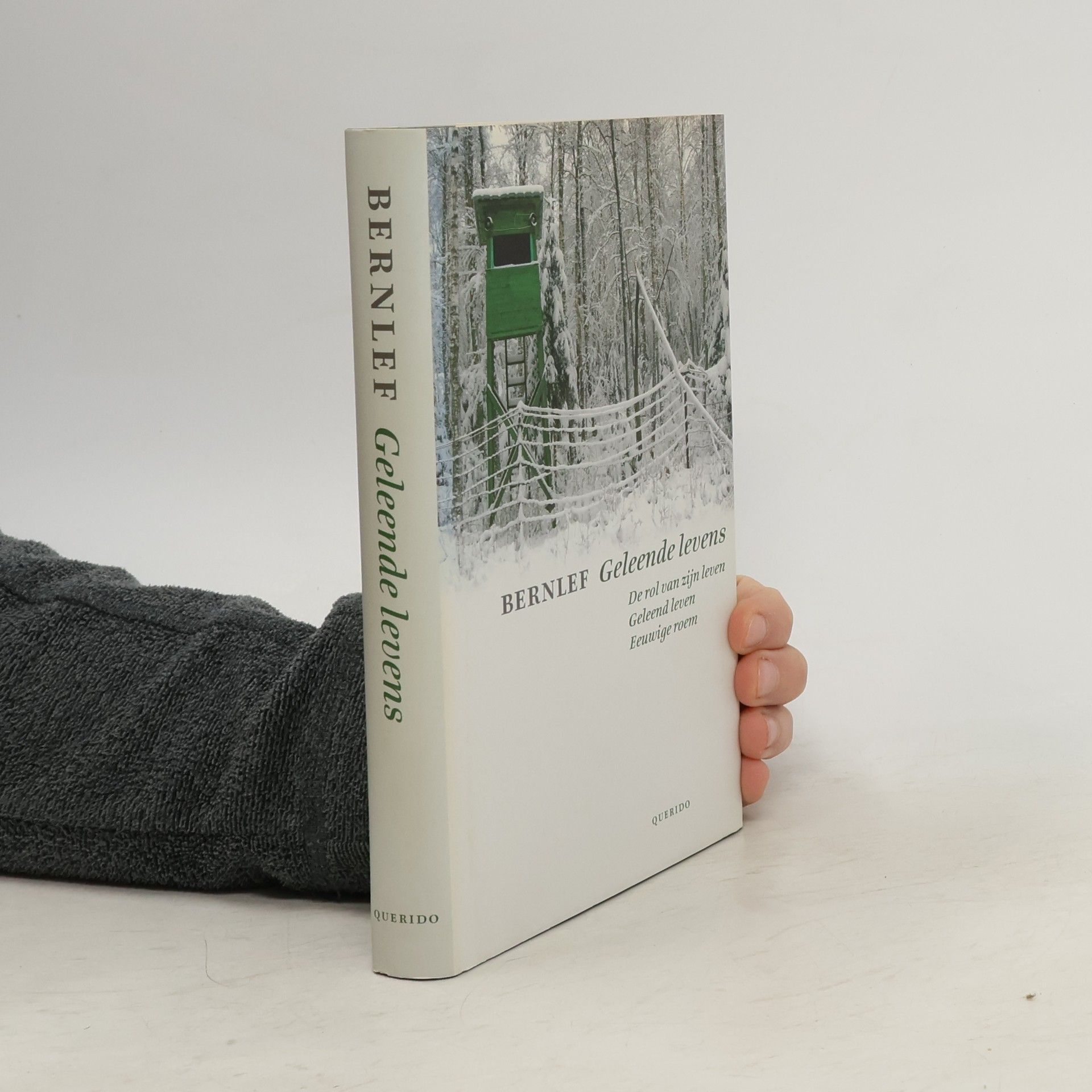 J. Bernlef Geleende levens